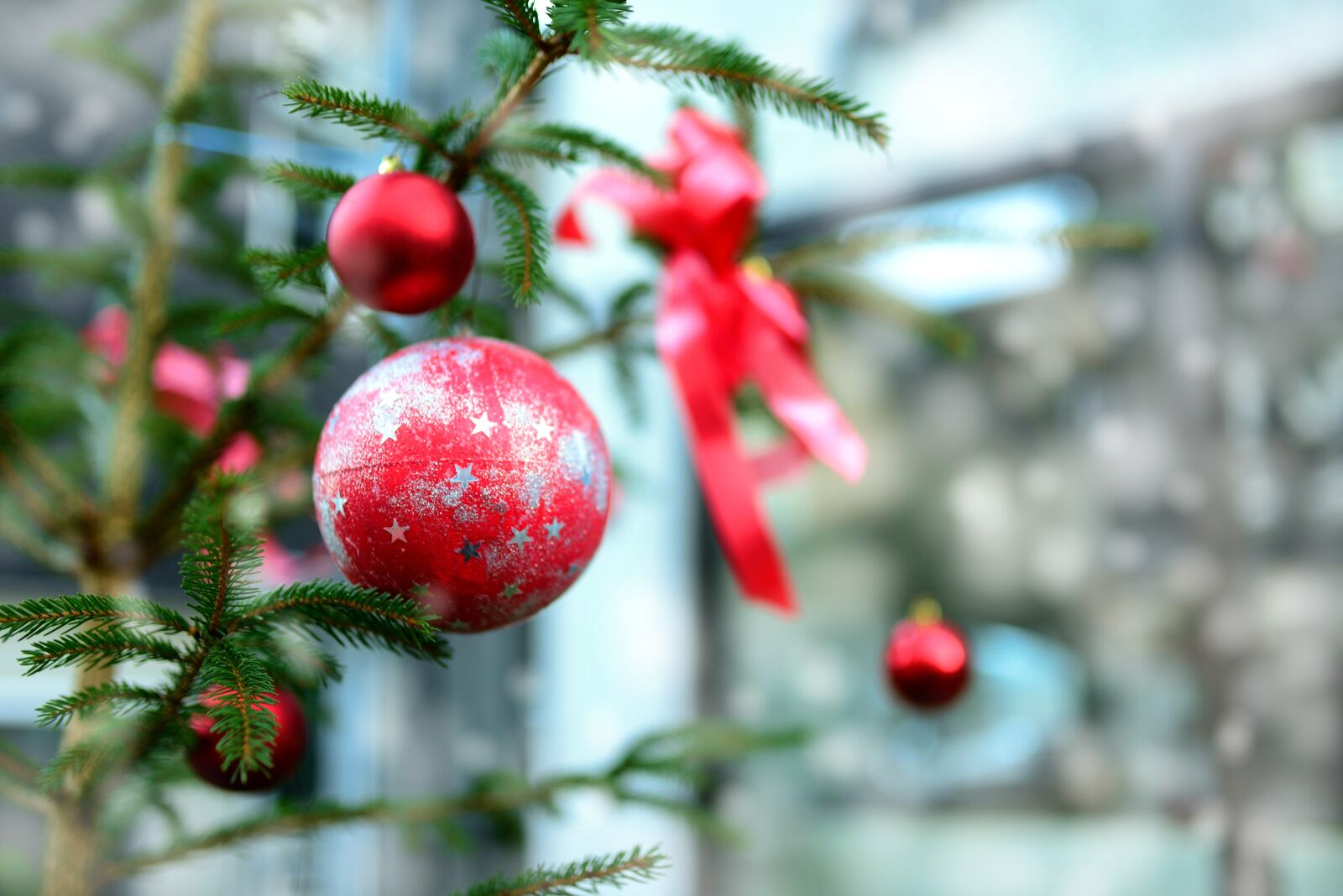 Nikon D610 sample photo. Christmas, winter, christmas decorations photography