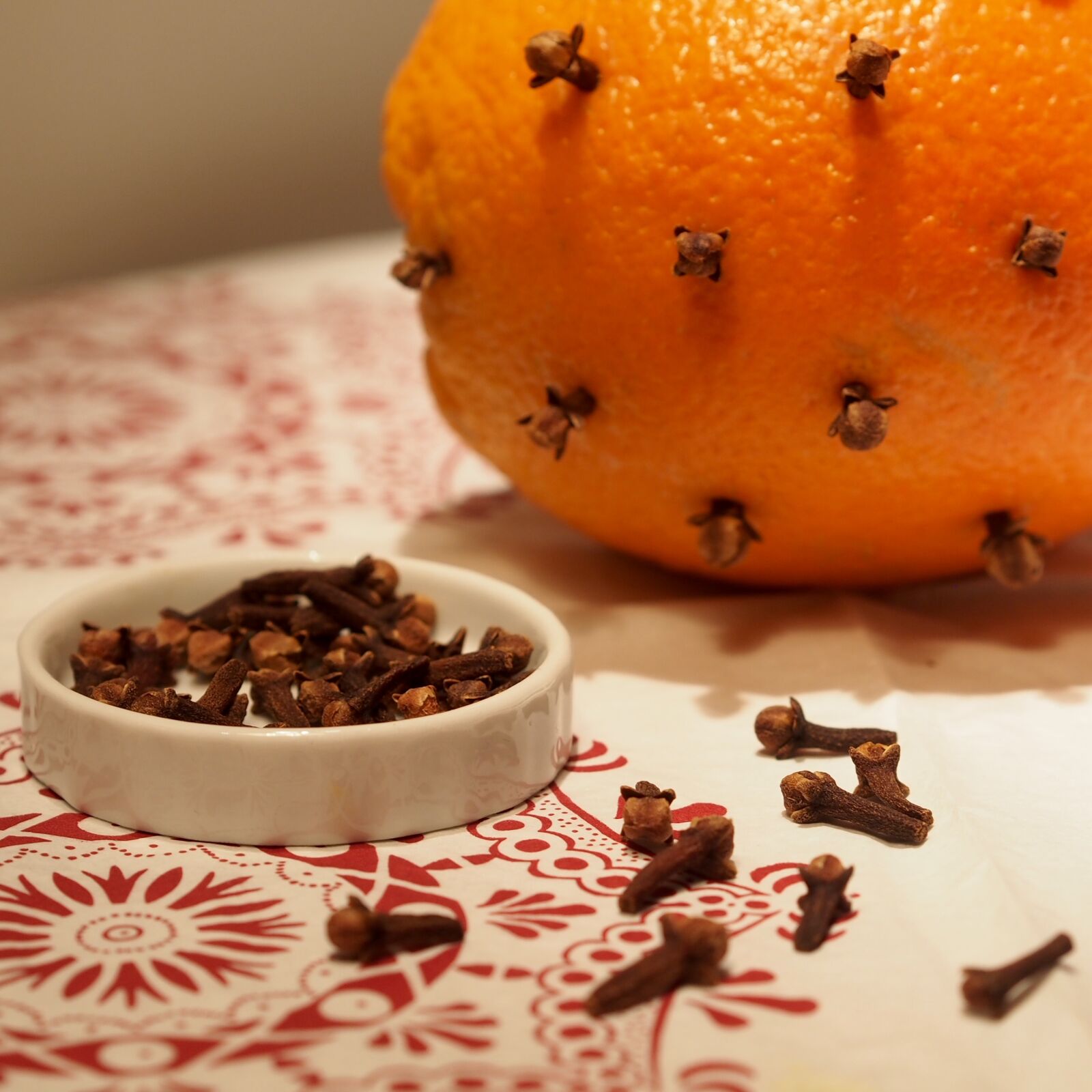Olympus PEN E-PL5 sample photo. Cloves, decoration, orange, theme photography