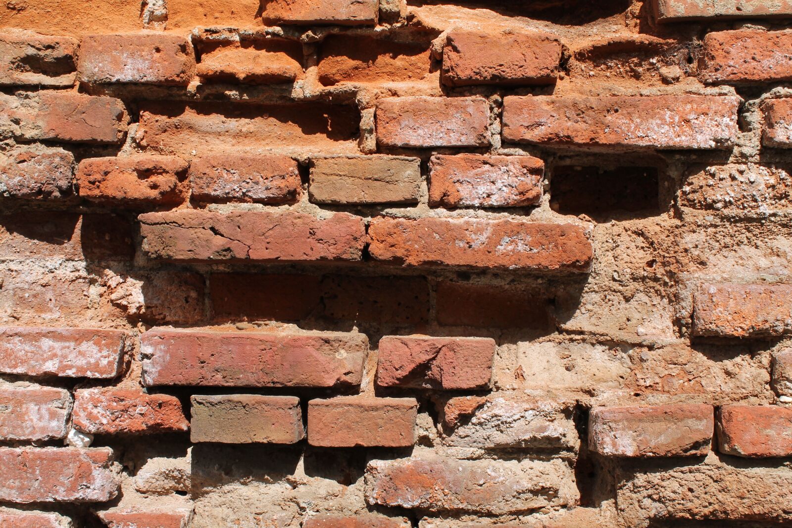 Canon EOS 1100D (EOS Rebel T3 / EOS Kiss X50) sample photo. Old brick wall, wall photography