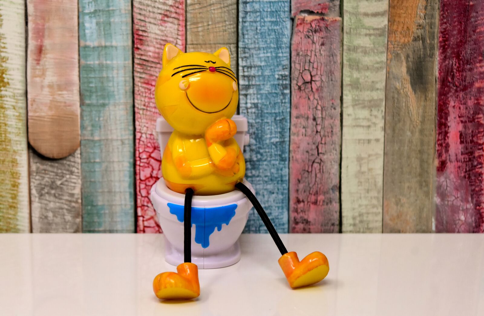 Nikon D7200 sample photo. Litter box, toilet, cat photography