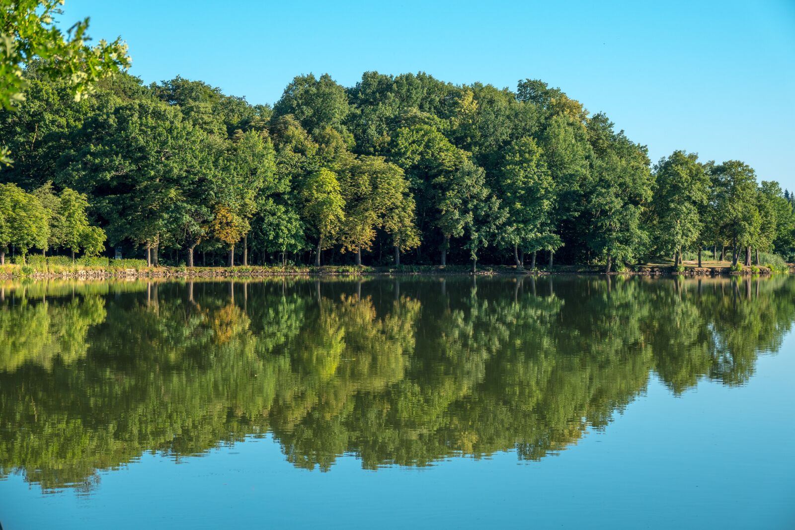 Sony Cyber-shot DSC-RX10 IV sample photo. Pond, country, mirror photography