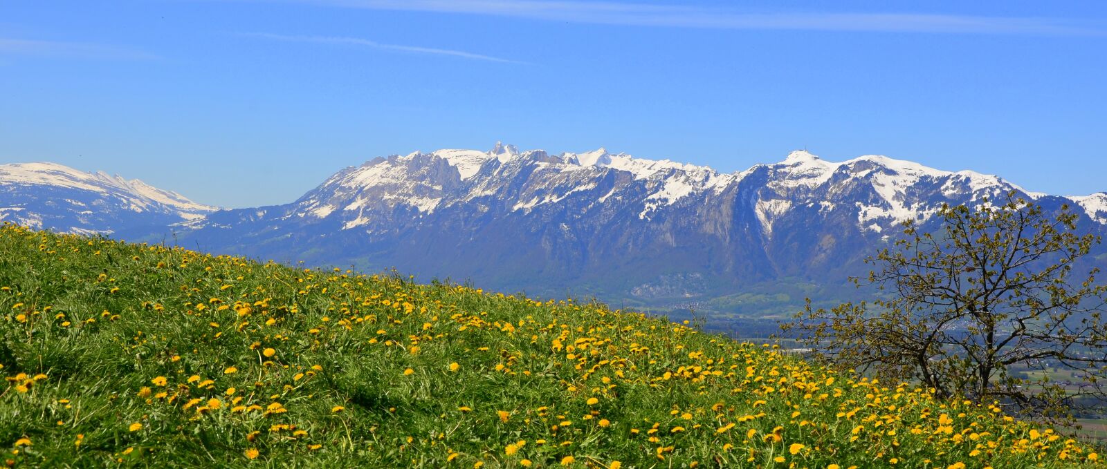 Nikon D5100 sample photo. Spring, mountains, sky photography