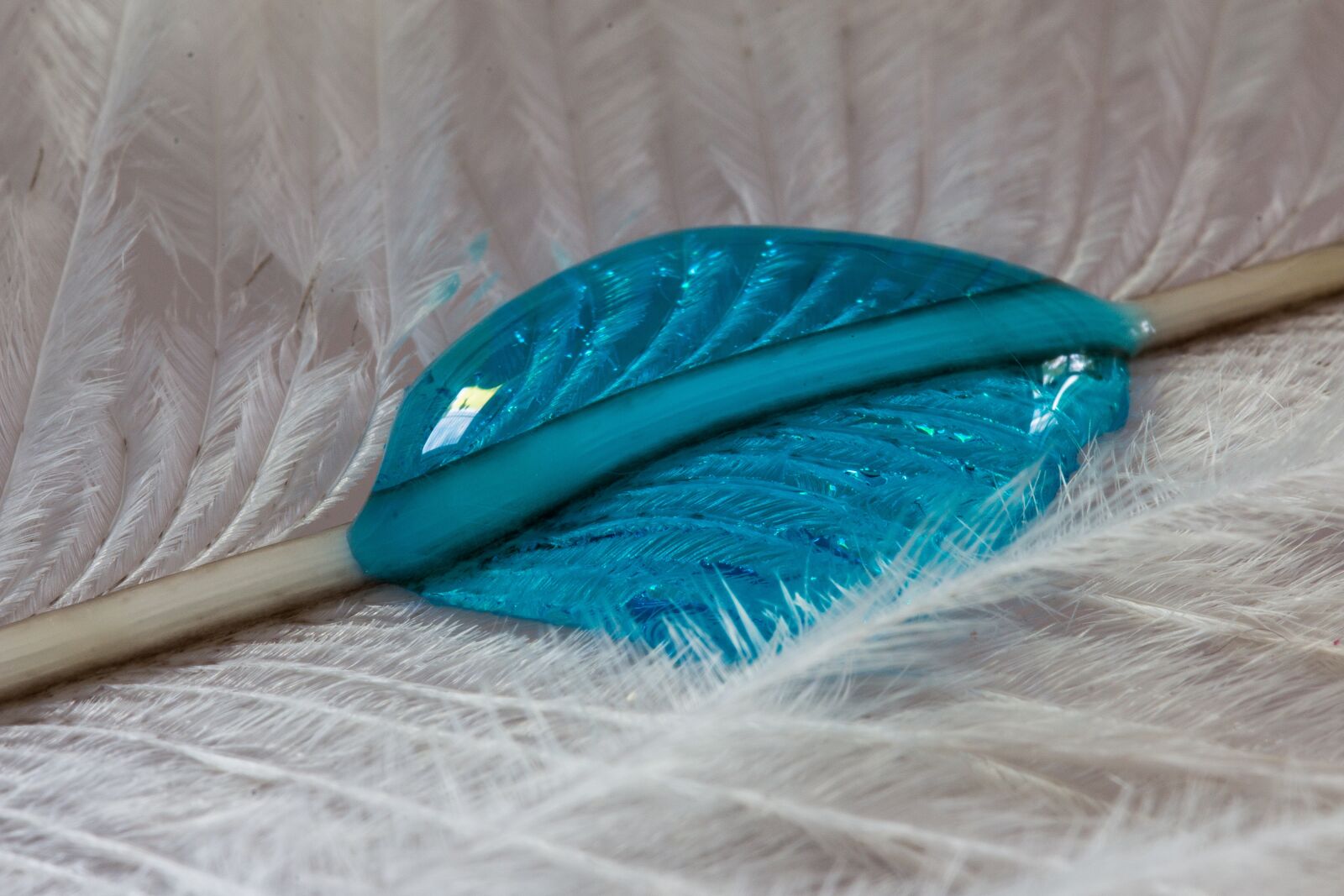 Canon EOS 70D sample photo. Ostrich feather, drip, feather photography