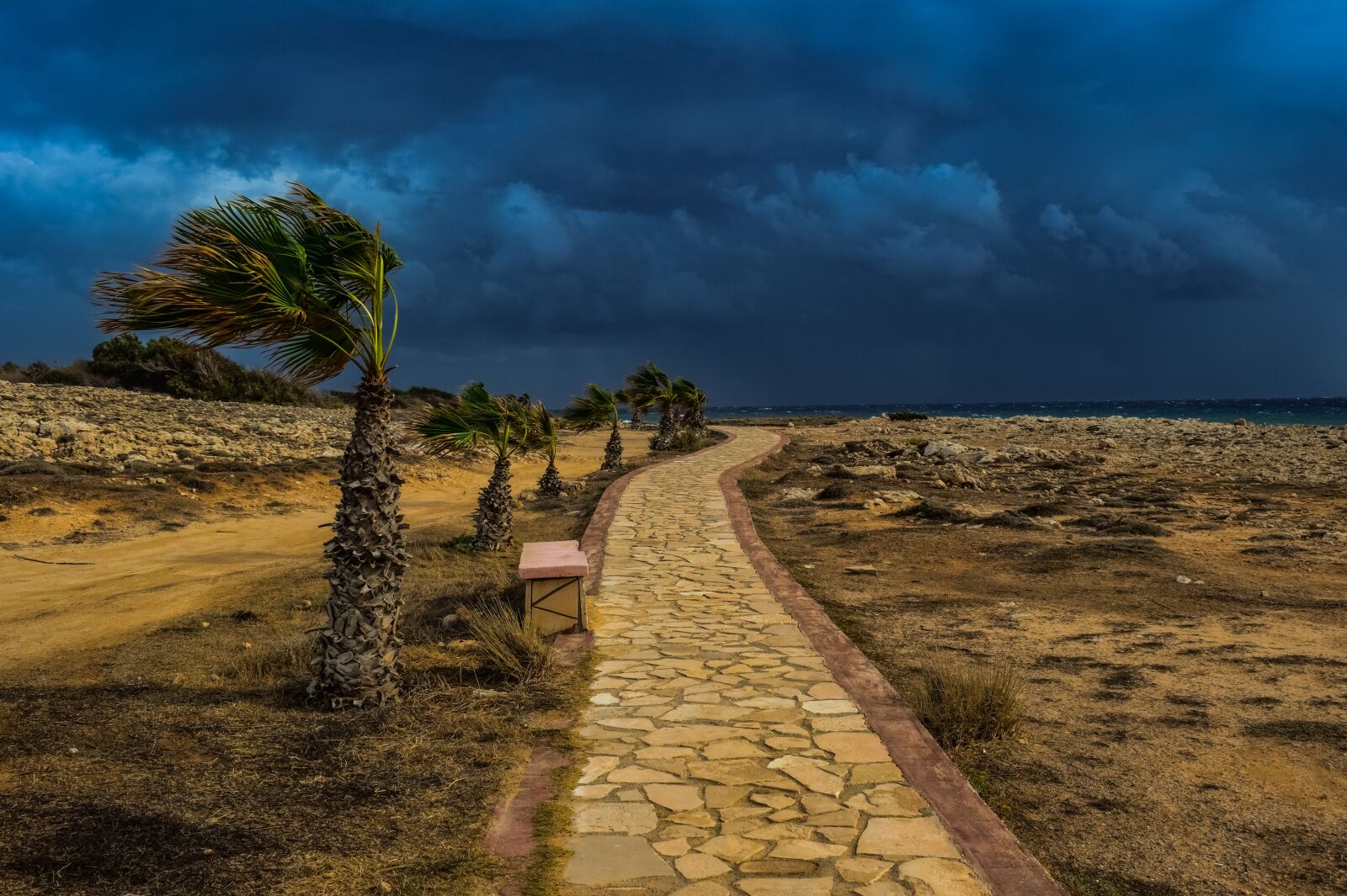 Nikon D3300 sample photo. Path, stone path, palm photography