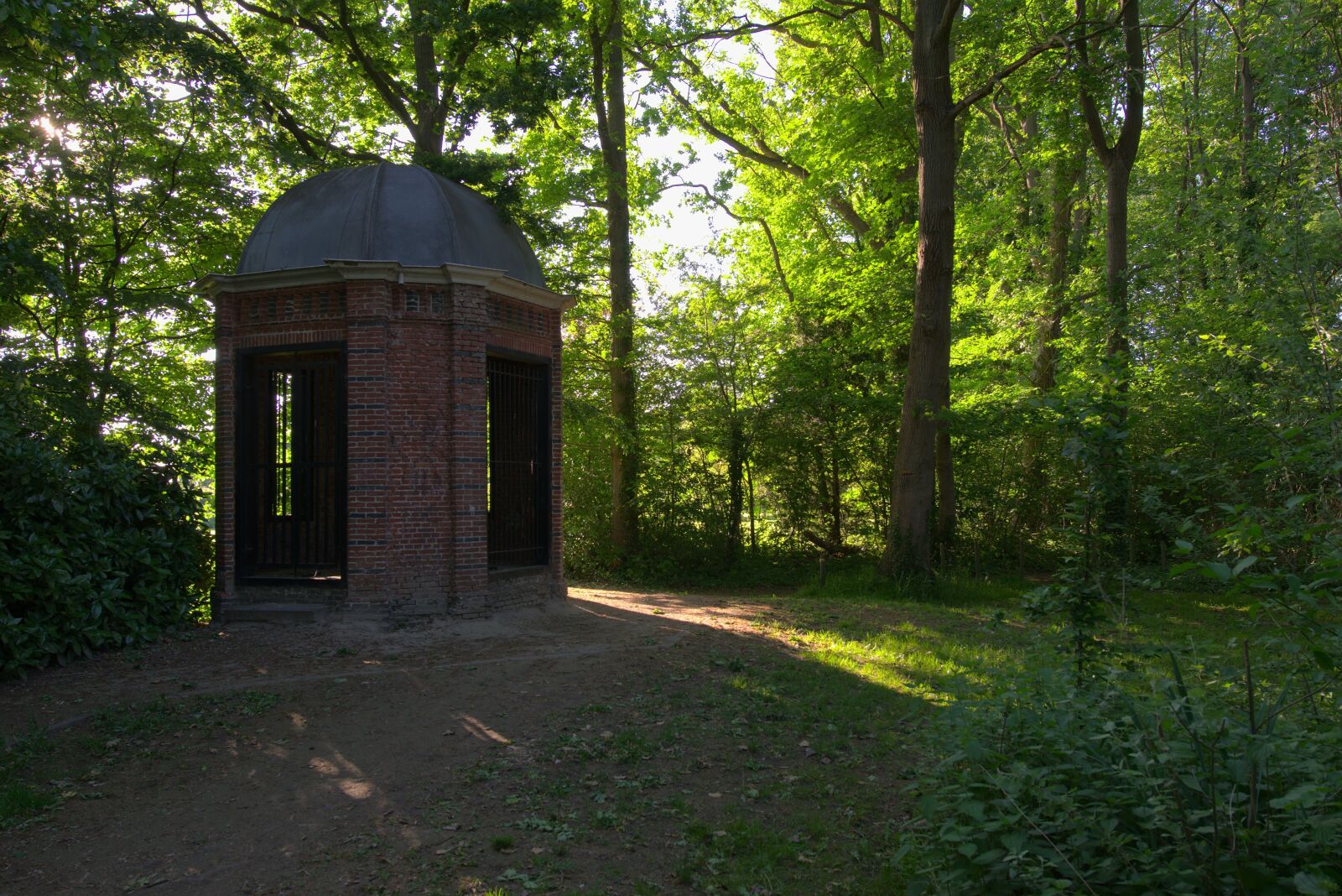 Nikon D5300 sample photo. Park, forest, landscape photography