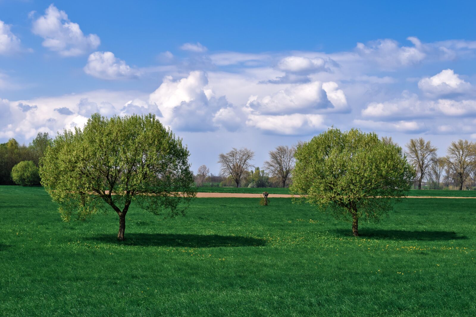 Nikon D3300 sample photo. Landscape, auen, nature photography
