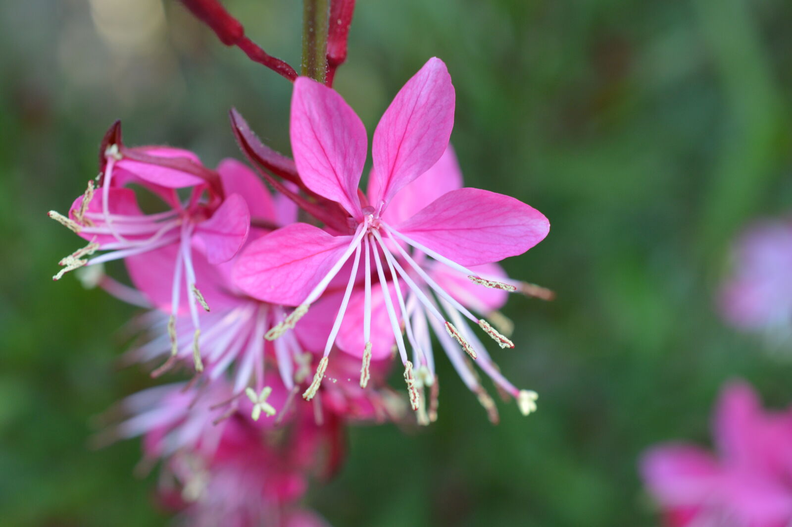 Nikon D3200 sample photo