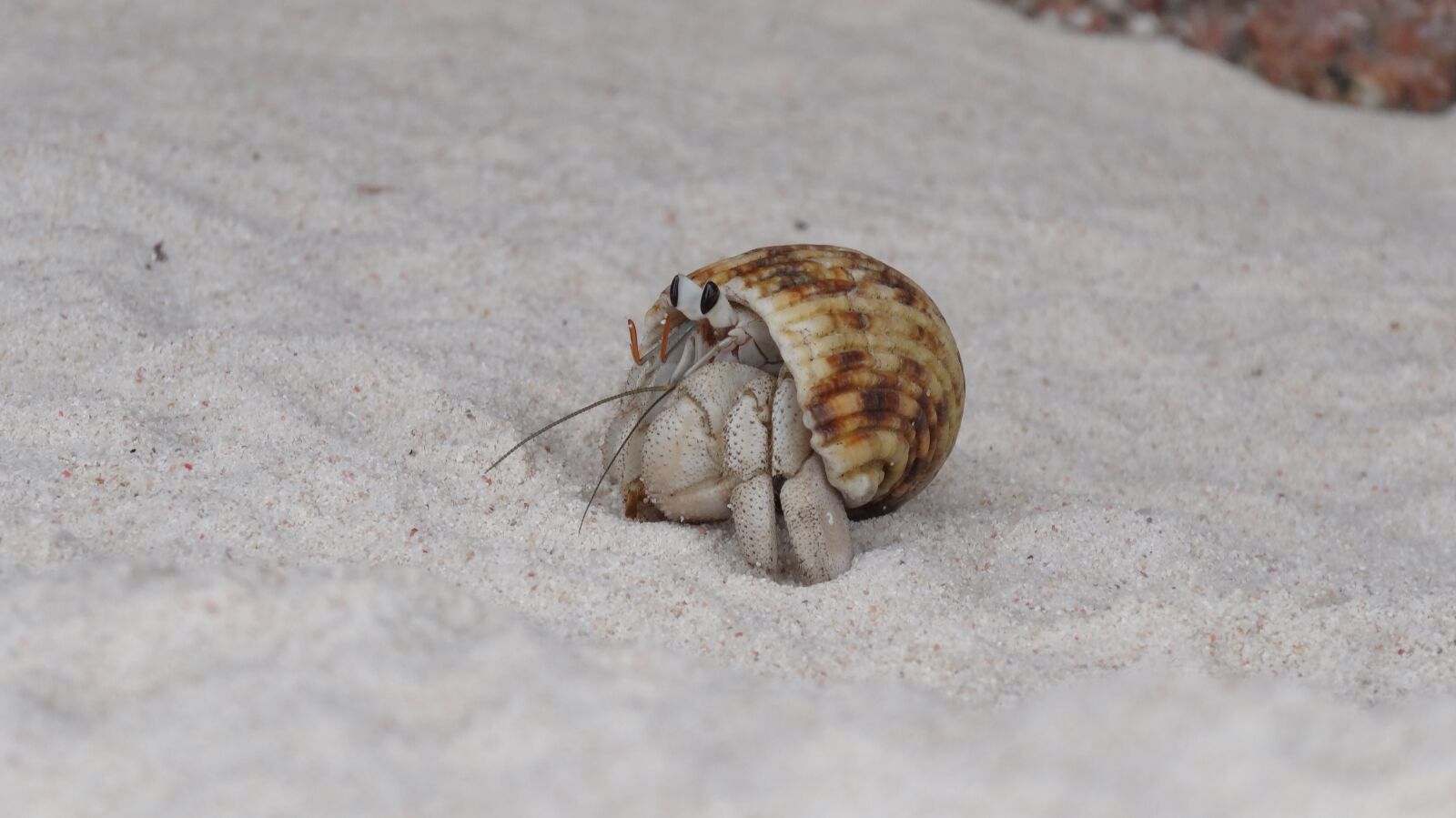 Sony Cyber-shot DSC-HX20V sample photo. Nature, sand photography