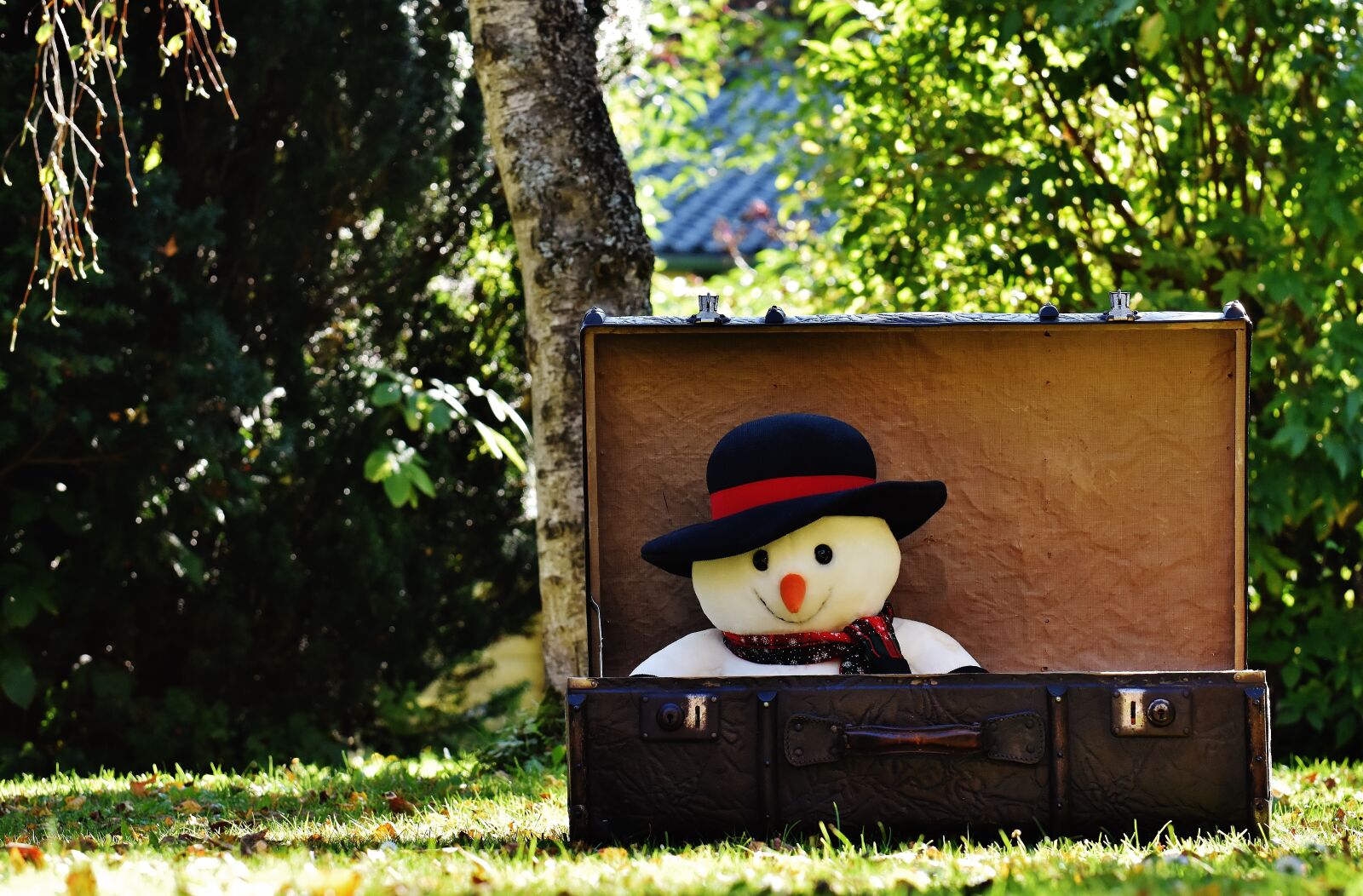 Nikon D7200 sample photo. Winter ade, snowman, send photography