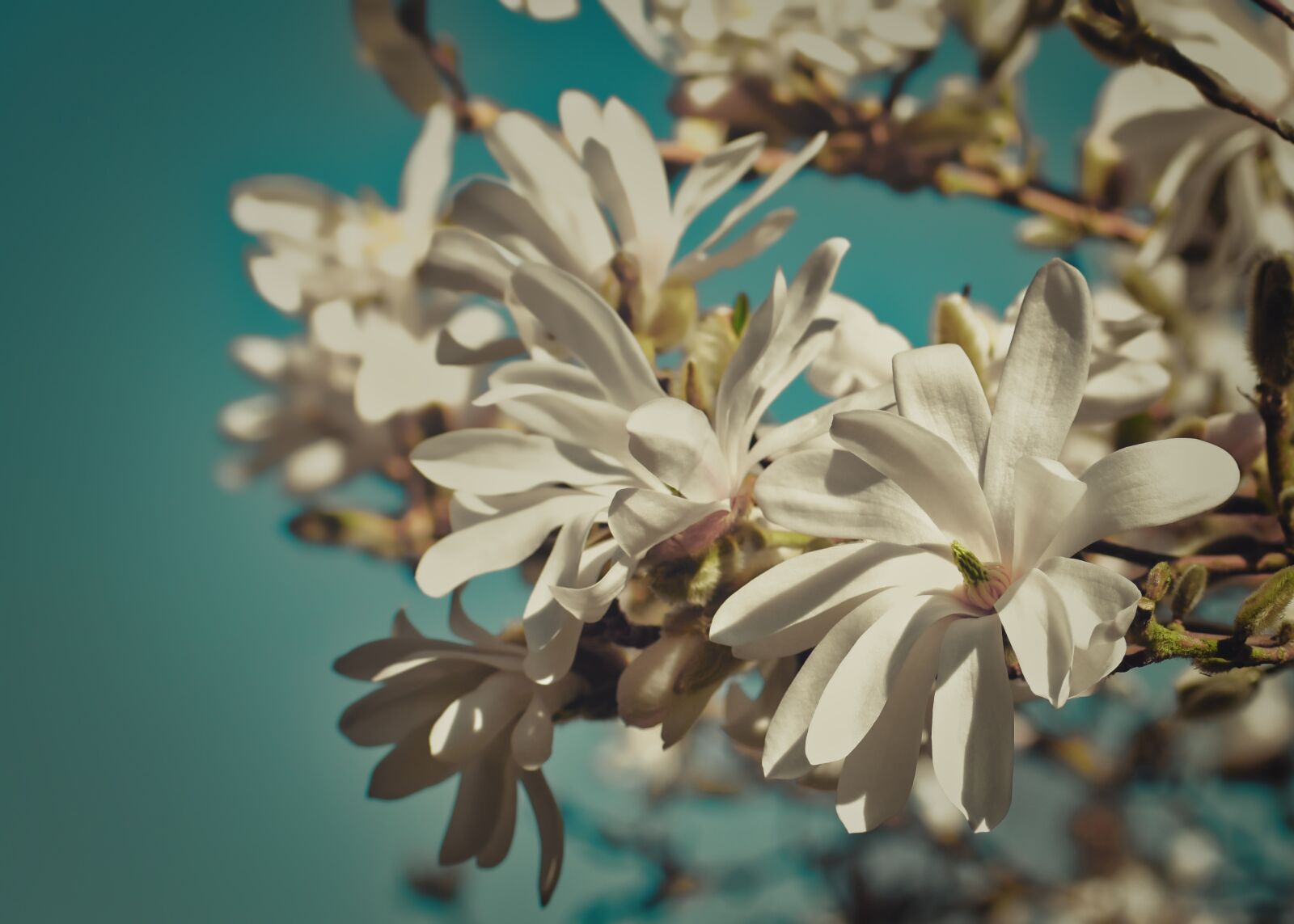 Nikon D3400 sample photo. Teal and orange, filtered photography