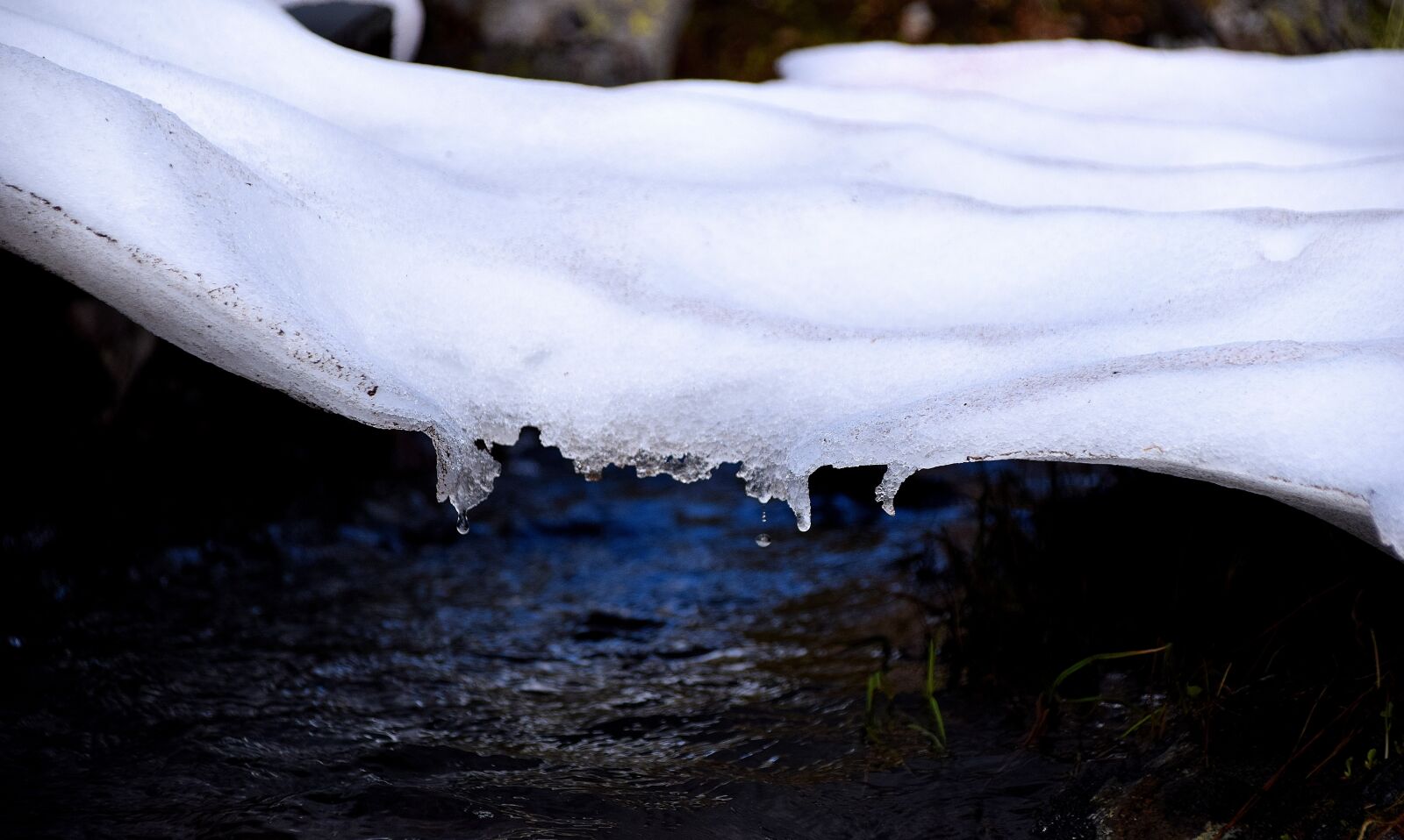 Nikon D5300 sample photo. Ice, summer, lapland photography