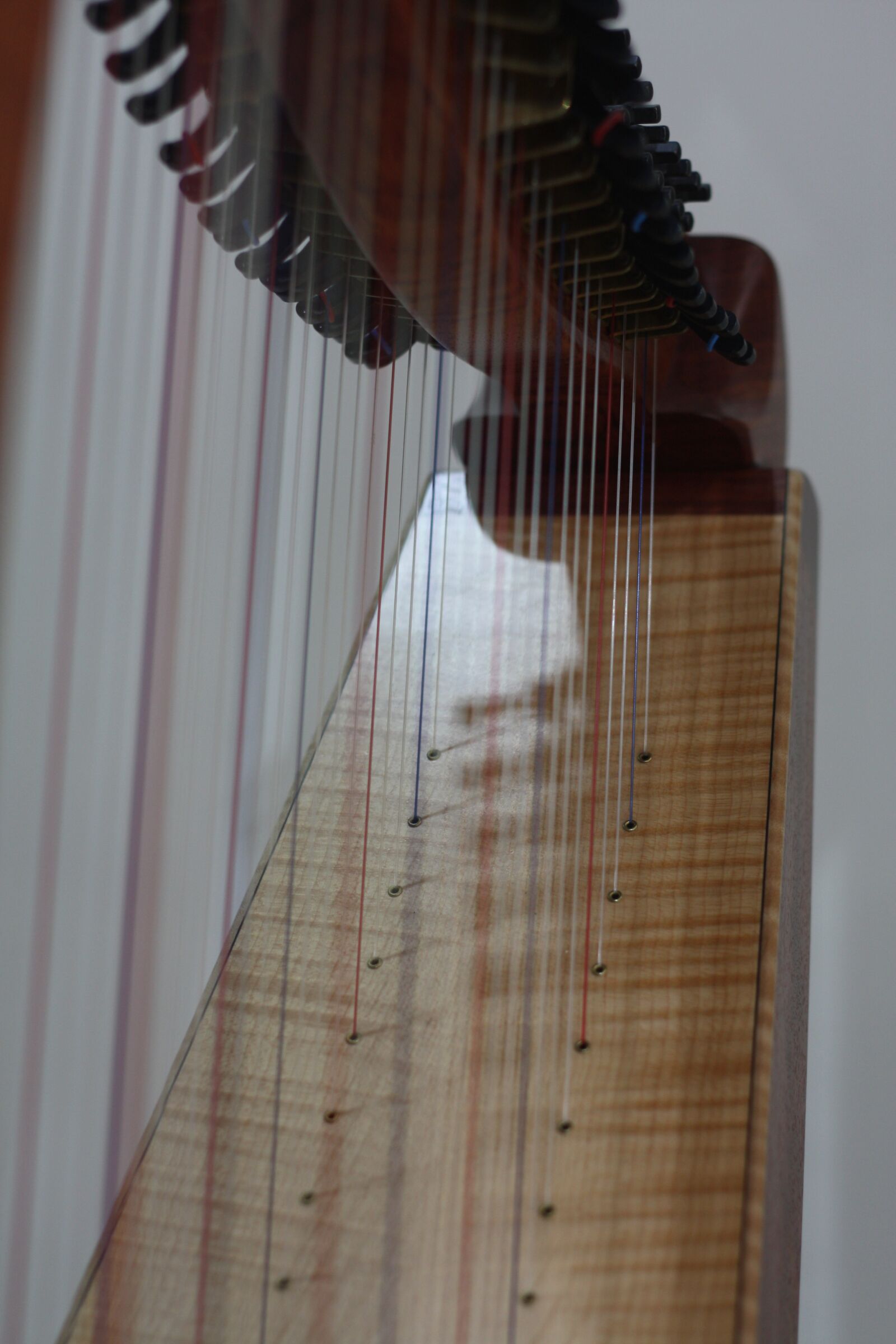 Canon EOS 450D (EOS Rebel XSi / EOS Kiss X2) sample photo. Harp, musical instrument, music photography