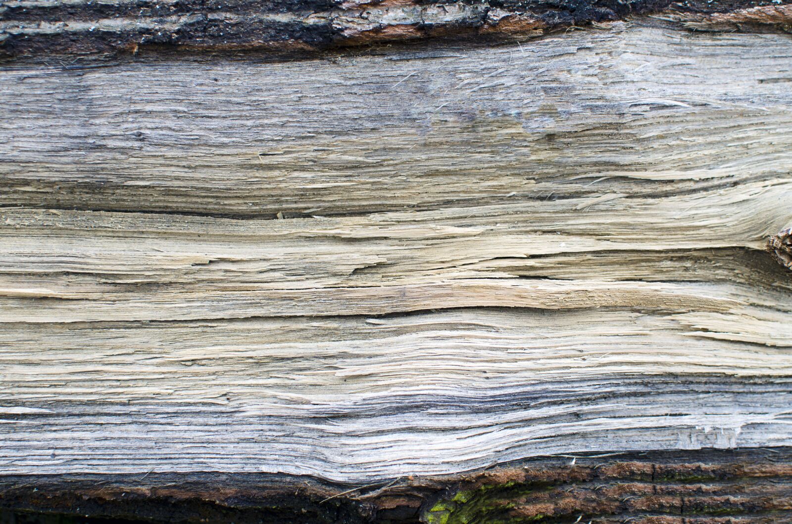 Nikon D5100 sample photo. Dřevo, abstraktní, pozadí photography