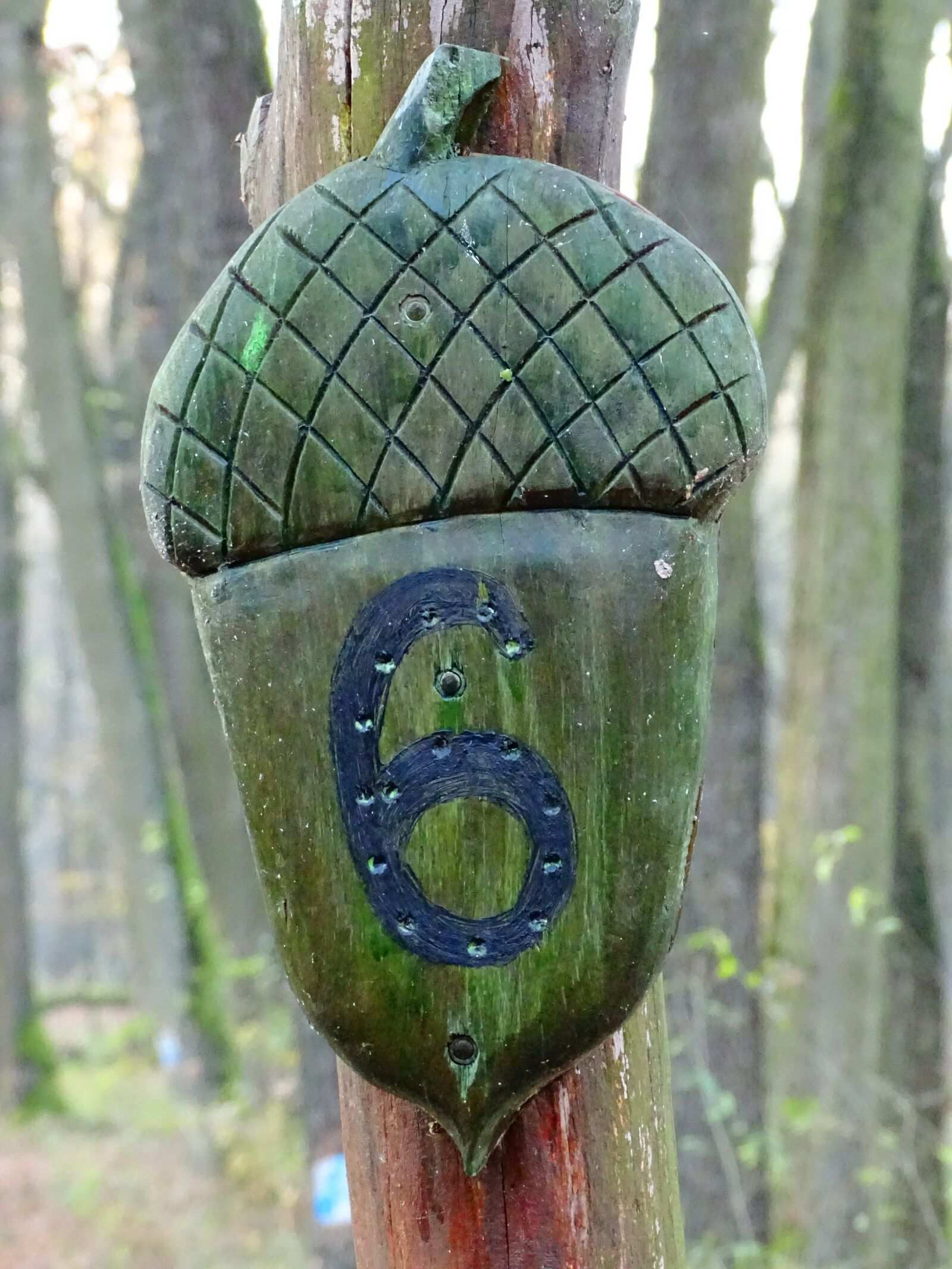 Sony Cyber-shot DSC-HX400V sample photo. Warning, forest, path photography