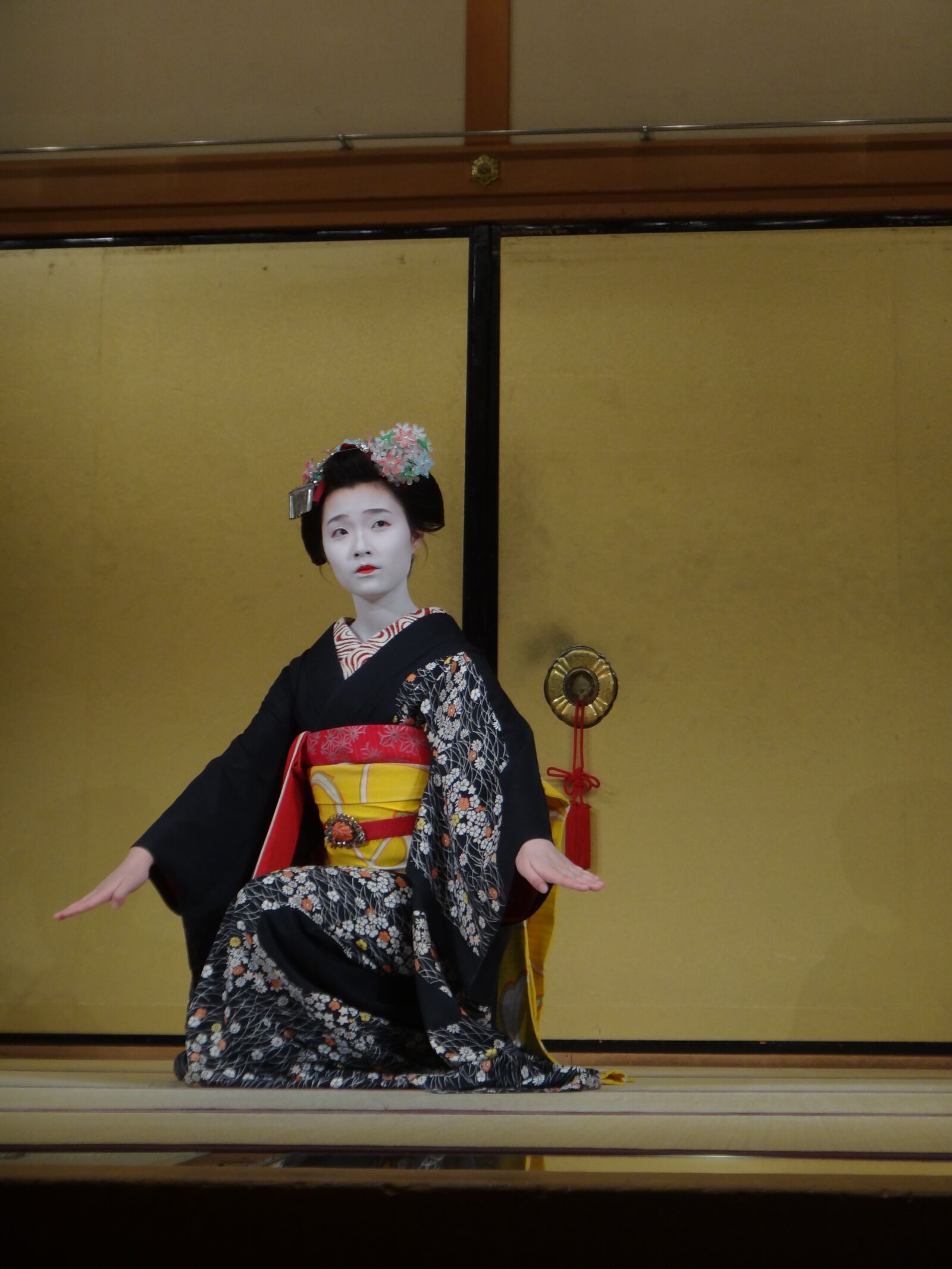 Sony DSC-TX20 sample photo. Geisha, kyoto, culture photography