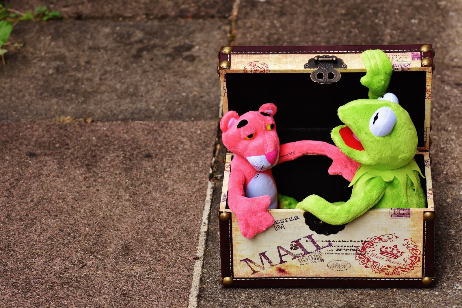 Nikon D7200 sample photo. Plush toys, kermit, the photography