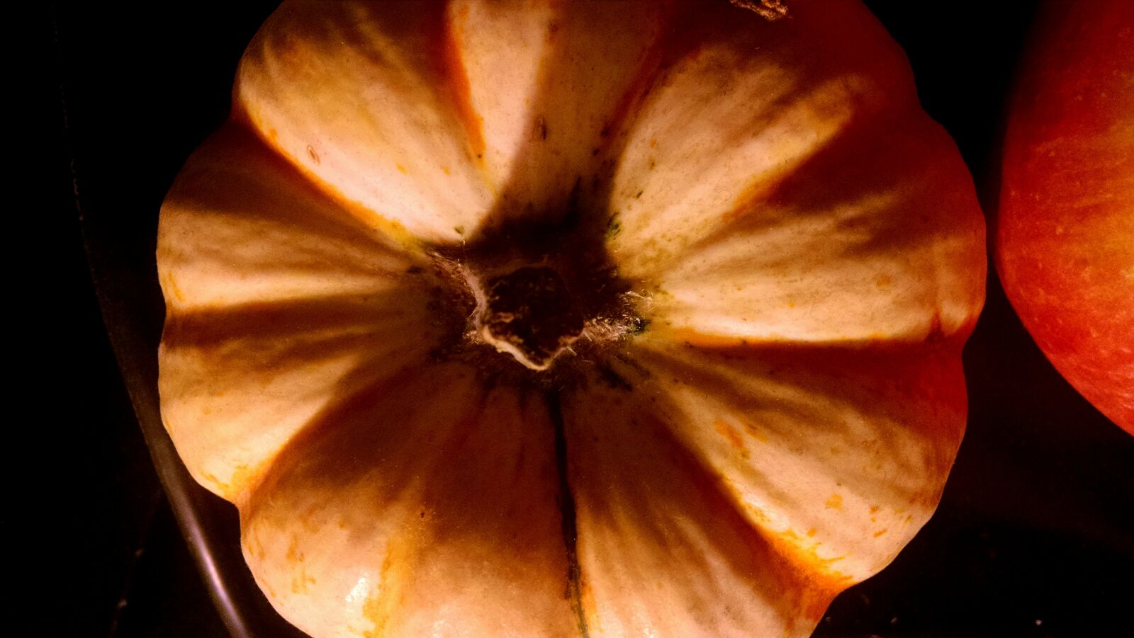 Motorola Moto X (1st Gen) sample photo. Pumpkin photography