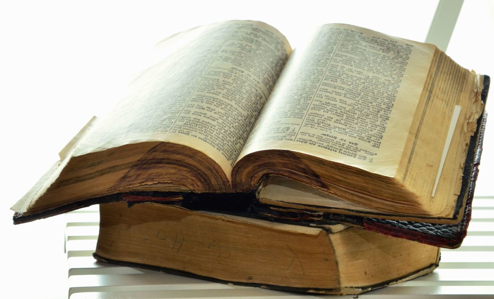Nikon D5100 sample photo. Antique, book, knowledge photography