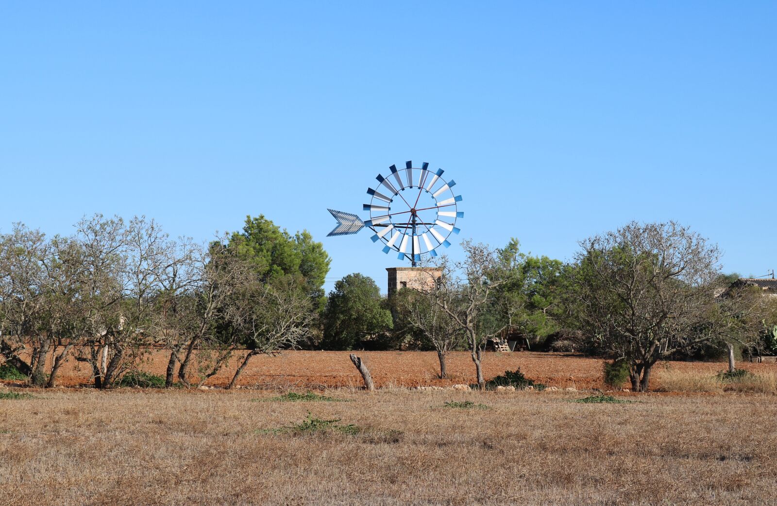 Canon EOS 750D (EOS Rebel T6i / EOS Kiss X8i) sample photo. Mallorca, windmill, old mill photography