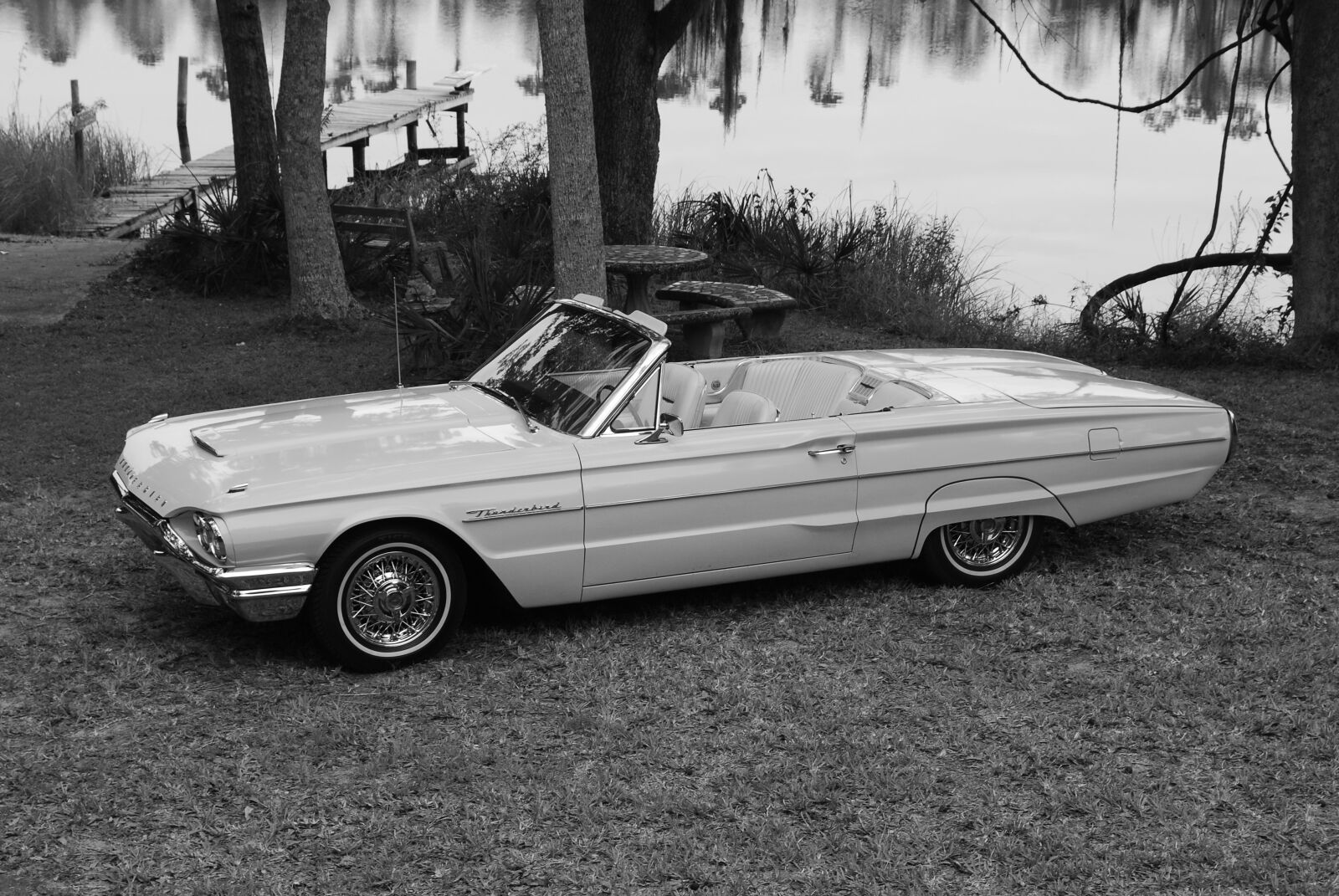 Nikon D60 sample photo. Thunderbird, ford, car photography