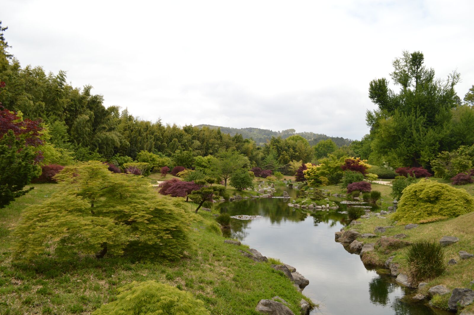 Nikon D3200 sample photo. Garden, tree, nature photography
