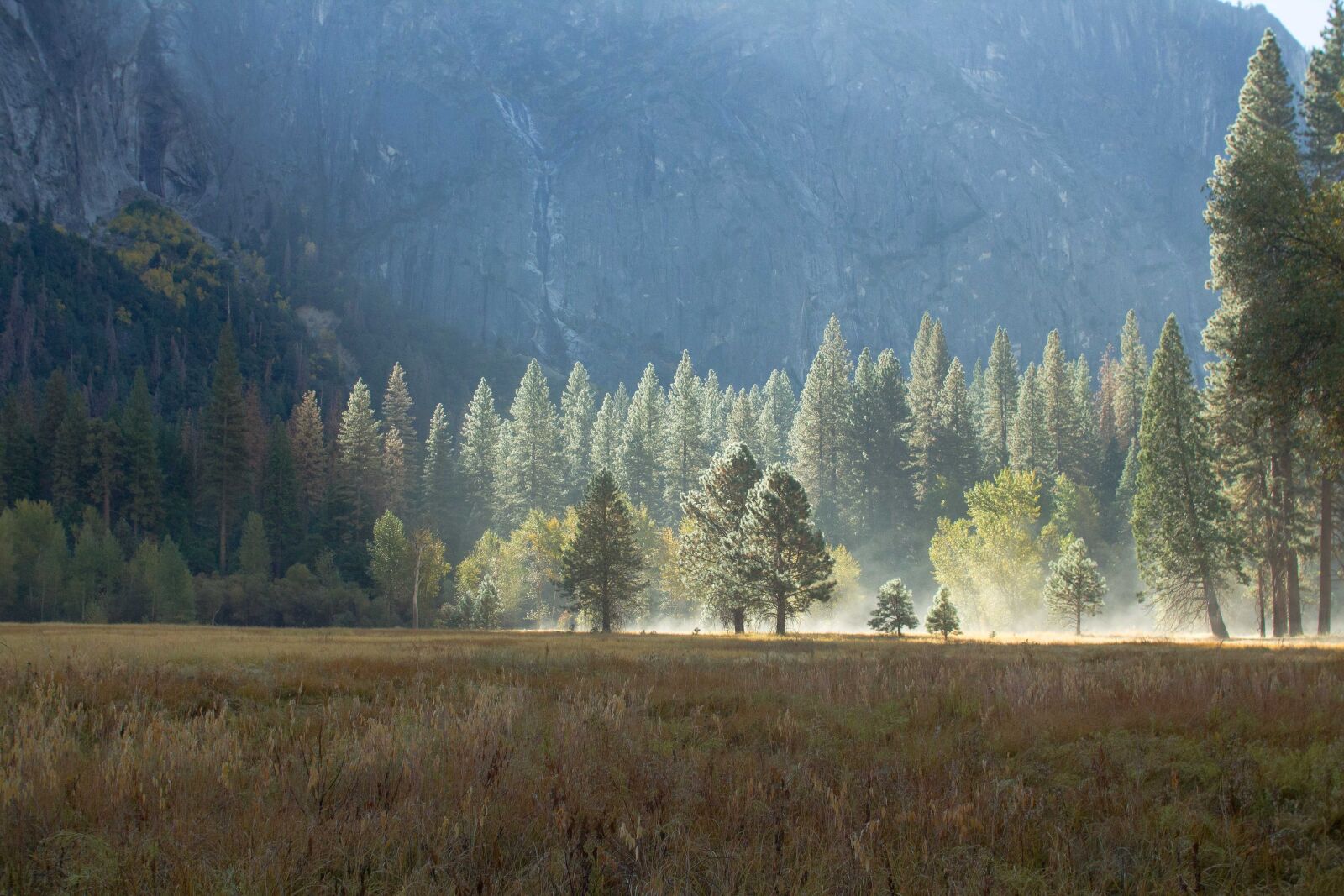 Canon EOS 550D (EOS Rebel T2i / EOS Kiss X4) sample photo. Yosemite, mist, field photography