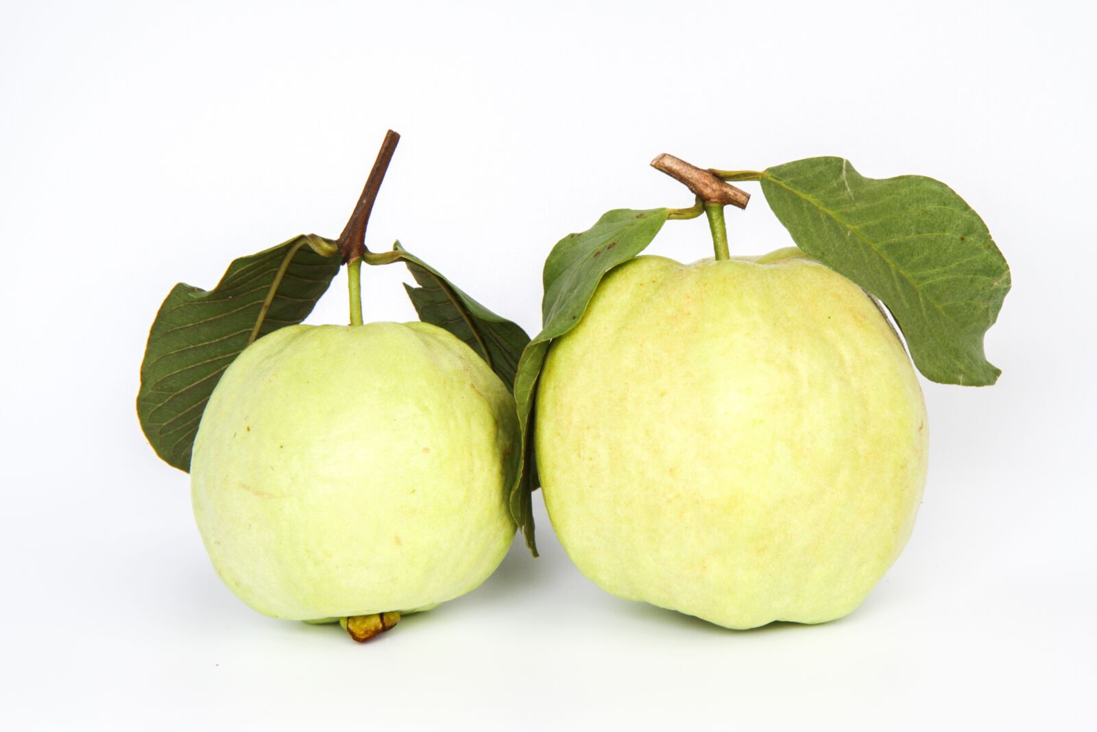 Canon EOS 7D sample photo. Guava, food, green photography