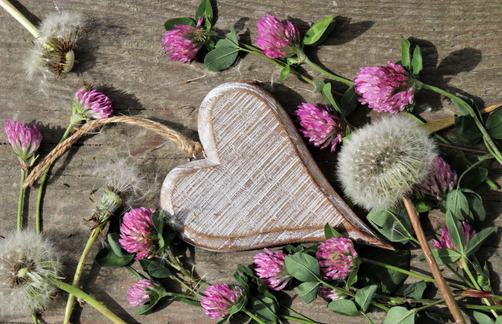 Canon EOS 80D sample photo. Mother's day, heart, always photography