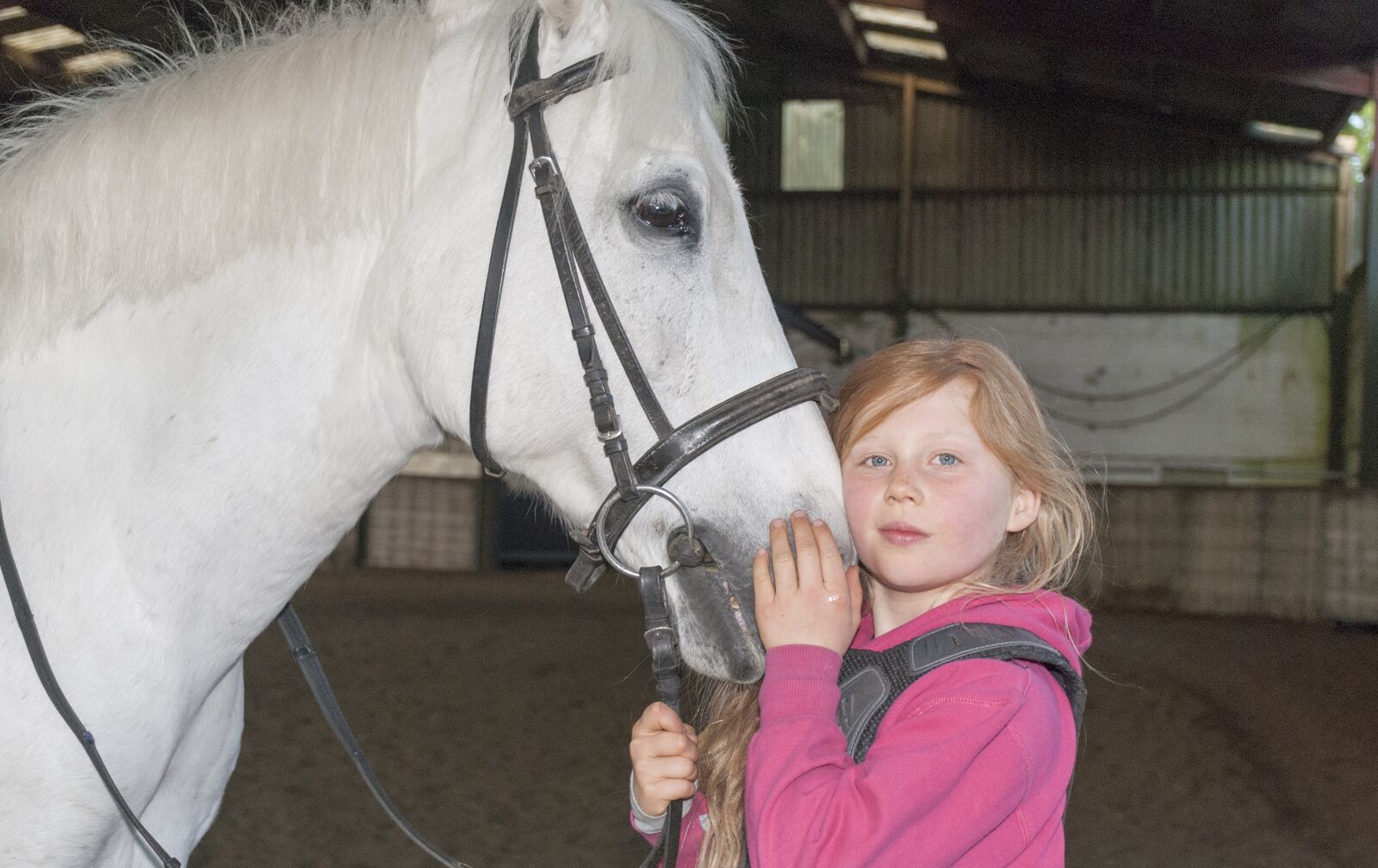 Nikon D80 sample photo. Horse, equestrian center, horseback photography