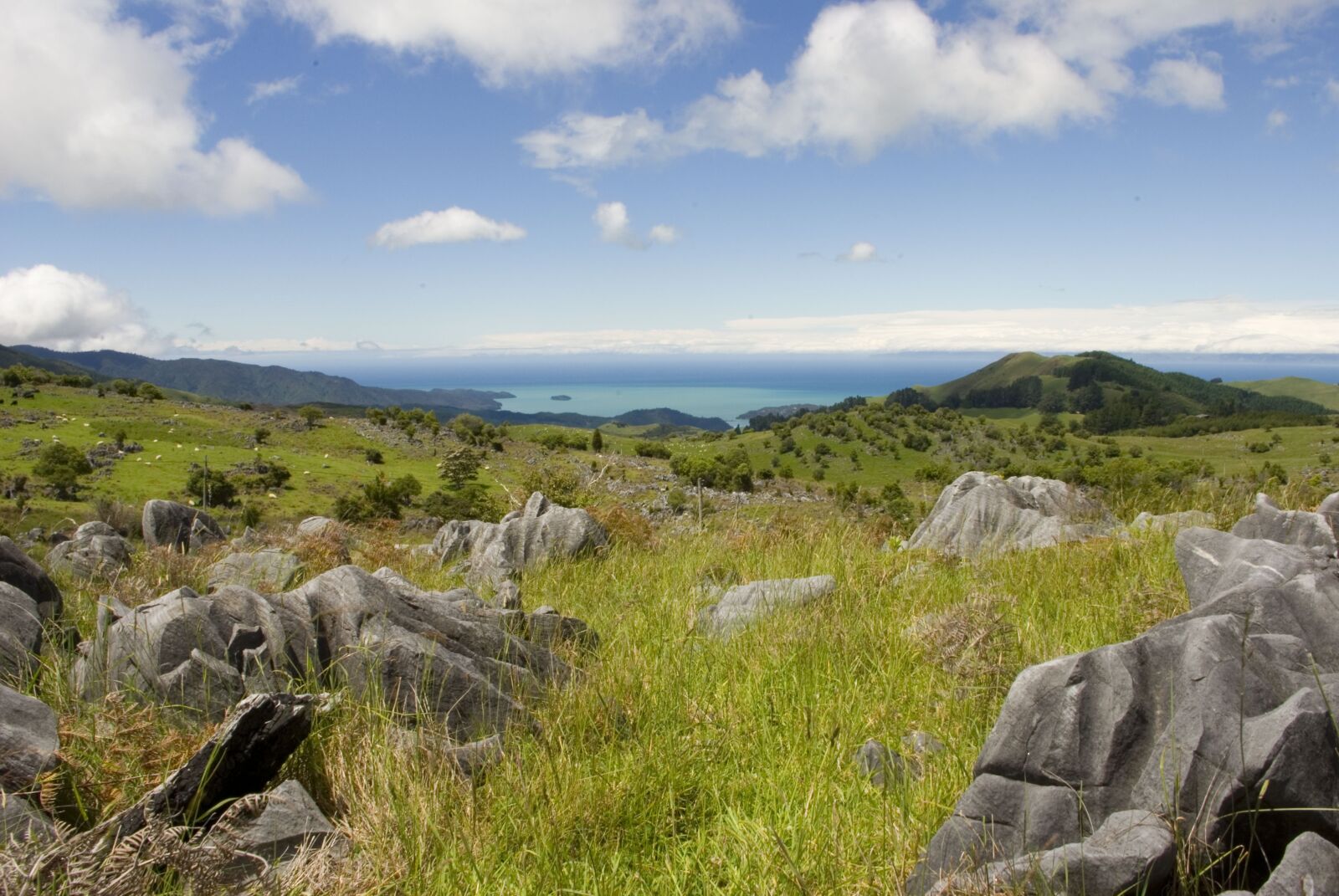 Pentax K200D sample photo. New zealand, the coast photography