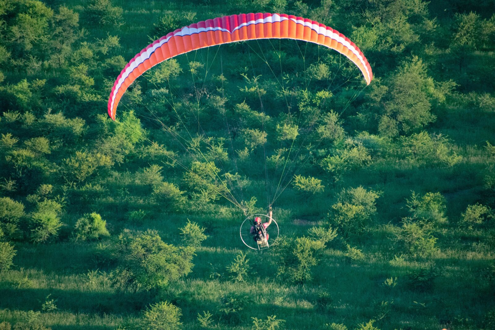 Nikon D3400 sample photo. Paramotor, flight, paragliding photography