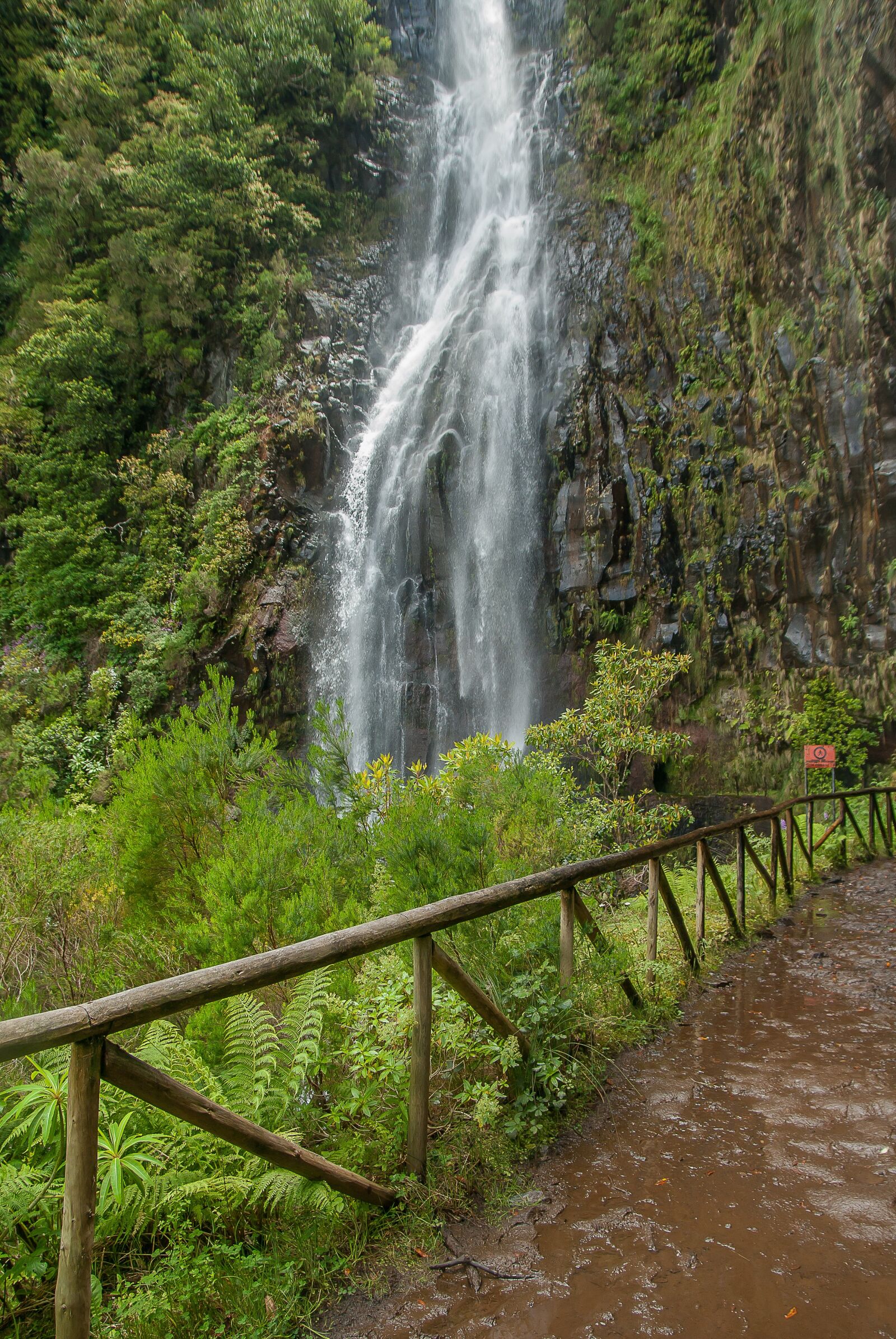 Pentax K10D sample photo. Madeira, cascade, source photography