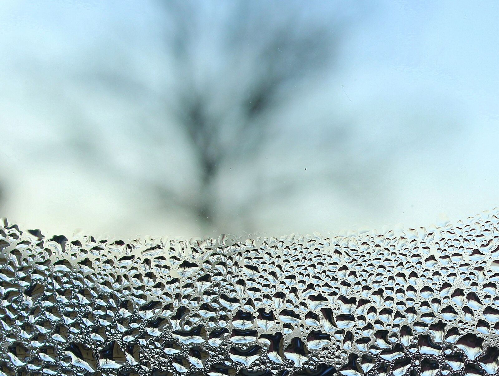 Canon EOS 1200D (EOS Rebel T5 / EOS Kiss X70 / EOS Hi) sample photo. Pane, drops of water photography
