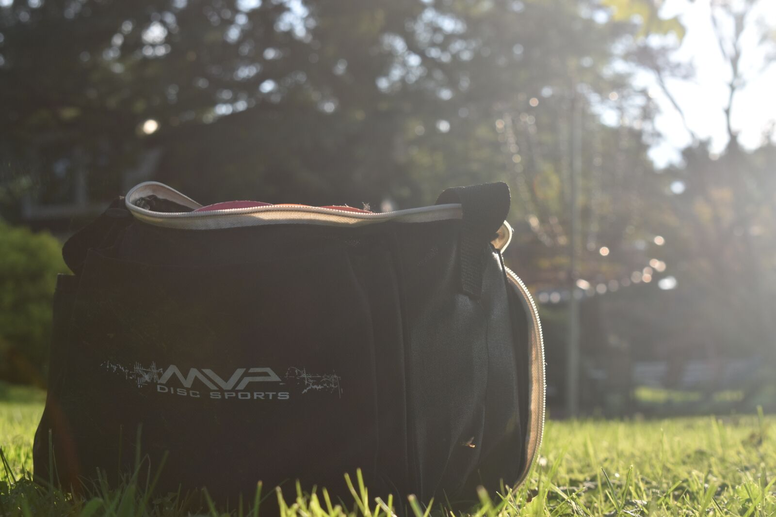 Nikon D5600 sample photo. Disc golf, basket, bag photography