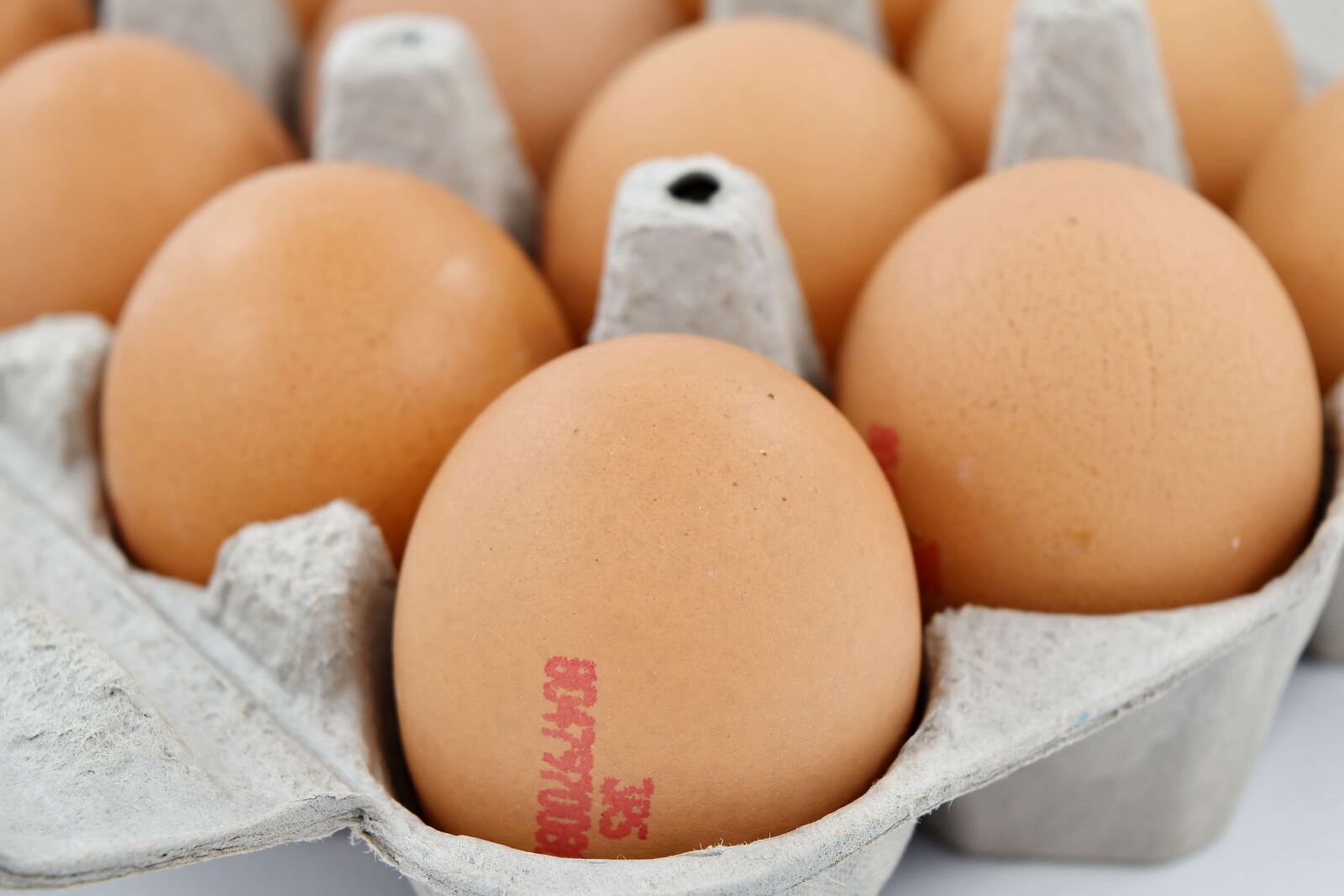 Nikon D5500 sample photo. Close-up, egg, egg box photography
