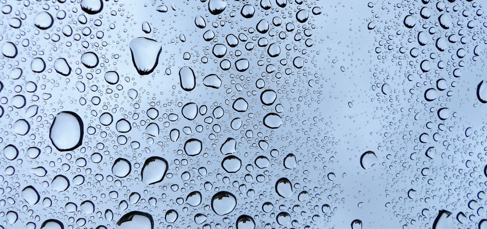 Panasonic Lumix DMC-FZ200 sample photo. Rain, wet, pearl photography