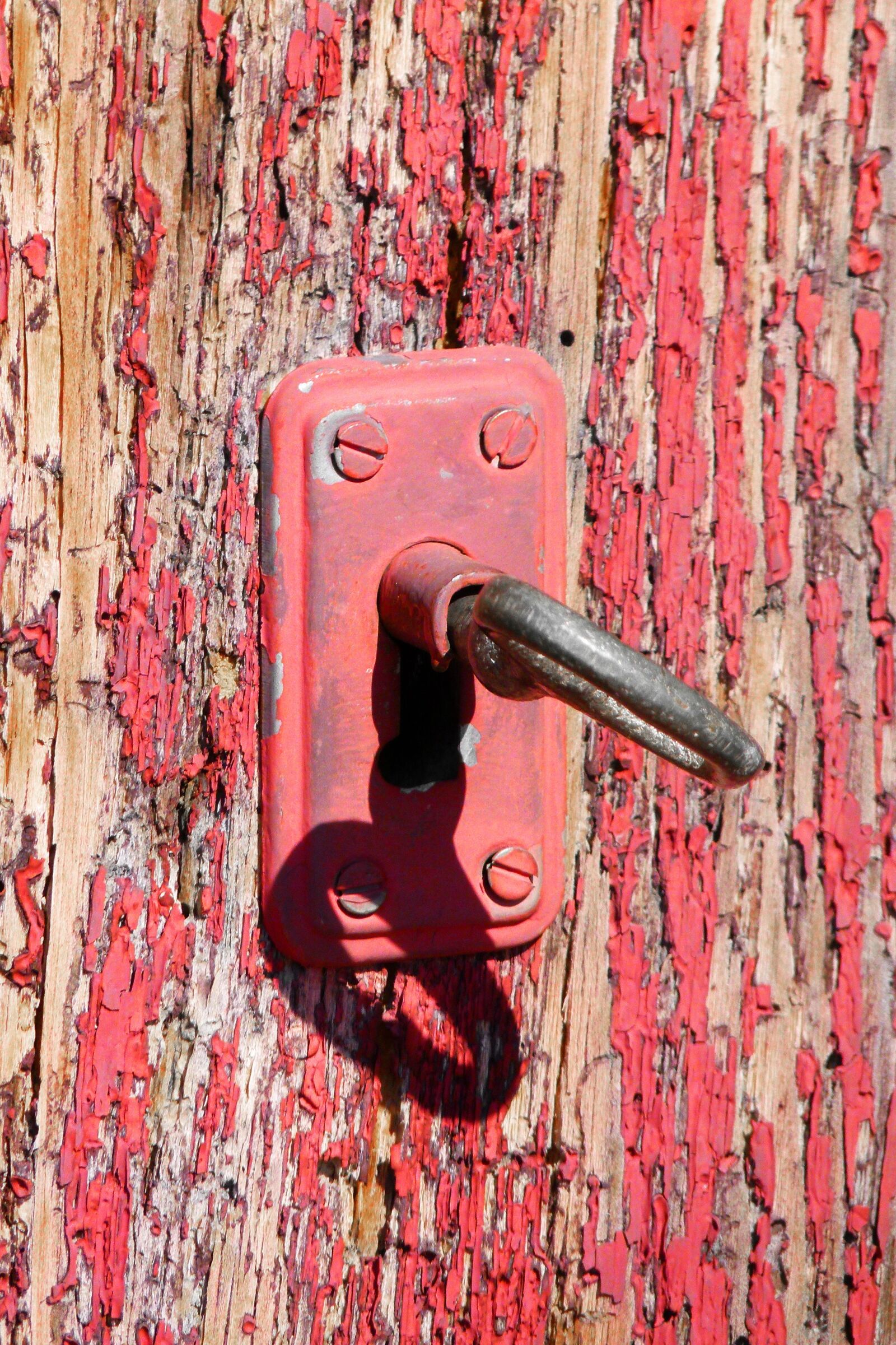 Leica V-Lux 2 sample photo. Lock, old, peeling paint photography