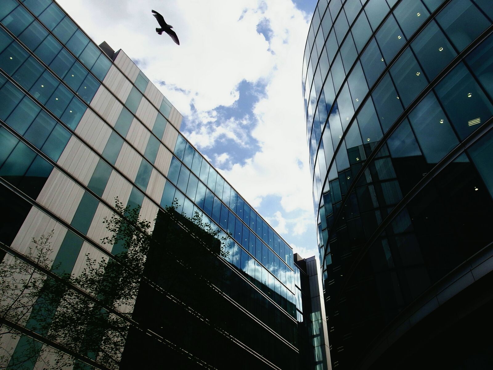 Fujifilm FinePix S1 sample photo. Sky, bird, skyscraper photography