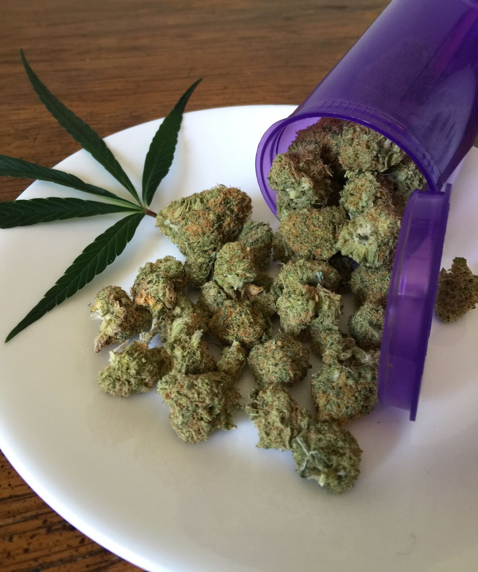 iPhone 6 Plus back camera 4.15mm f/2.2 sample photo. Cannabis, marijuana, weed photography
