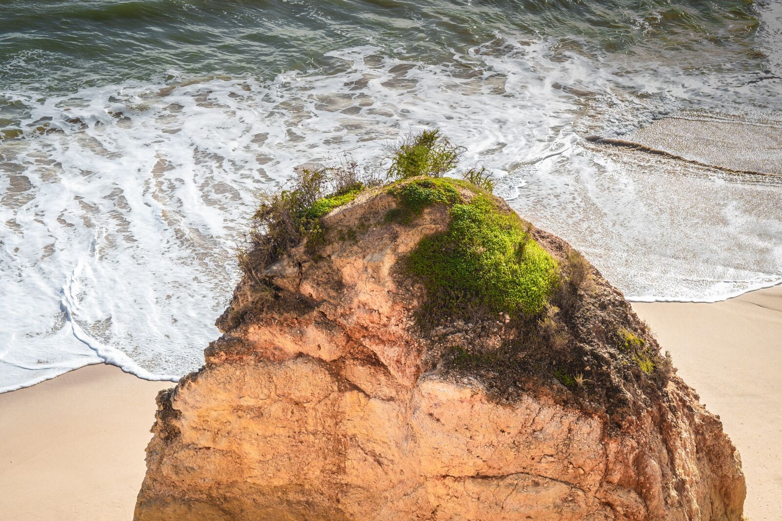 Fujifilm X-T2 + Fujifilm XF 56mm F1.2 R sample photo. Algarve, coast, green photography
