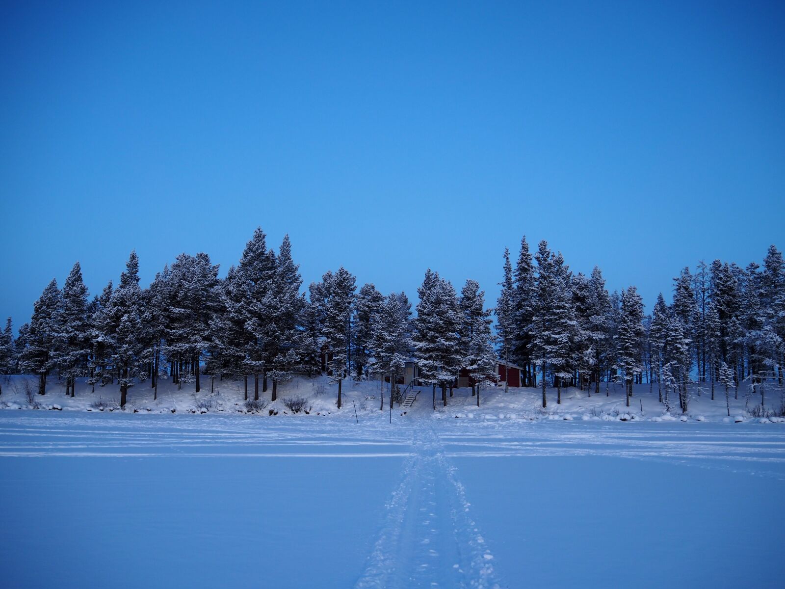 Olympus OM-D E-M10 sample photo. Winter, ice, snow photography