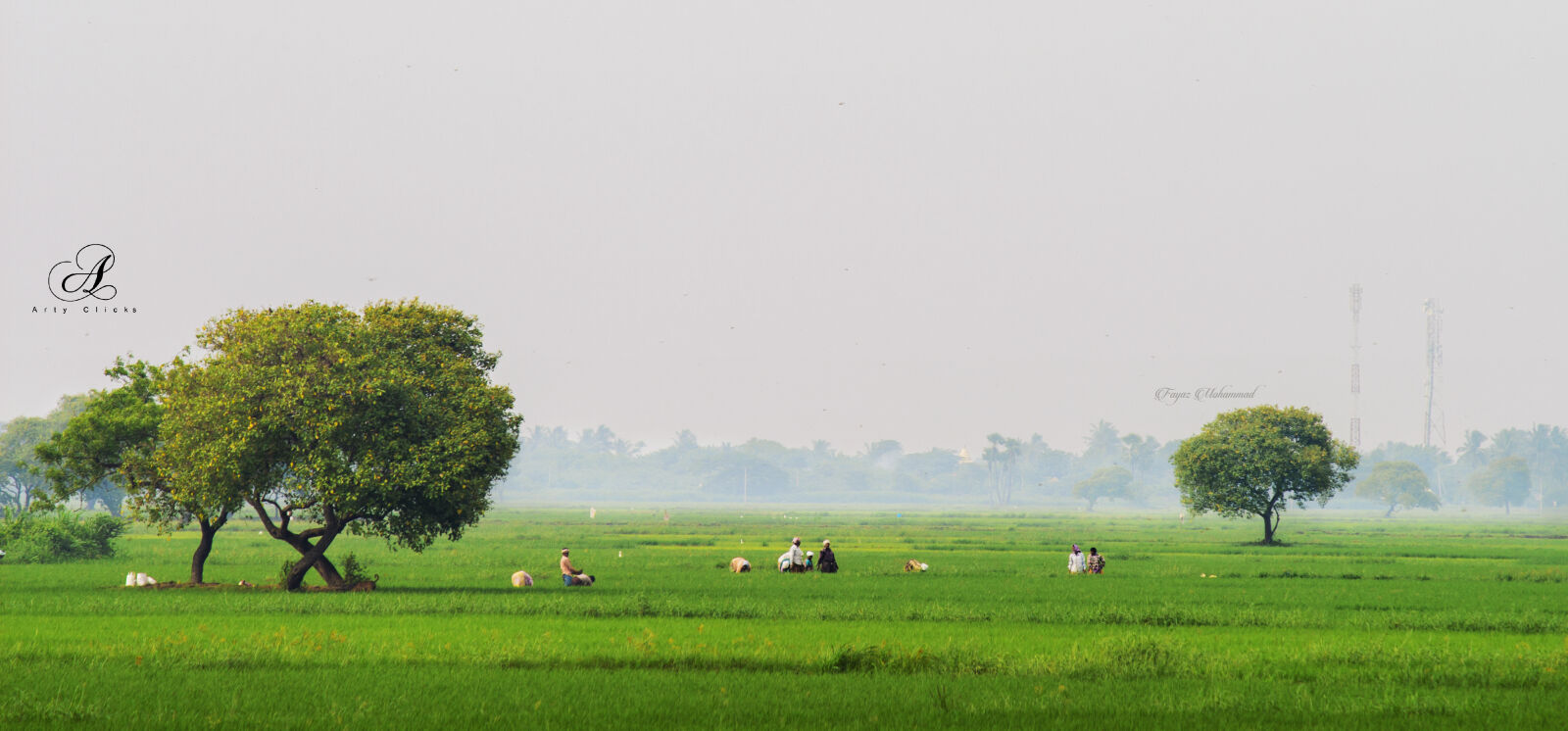 Canon EOS 700D (EOS Rebel T5i / EOS Kiss X7i) sample photo. Farmimg_andhrapradesh photography