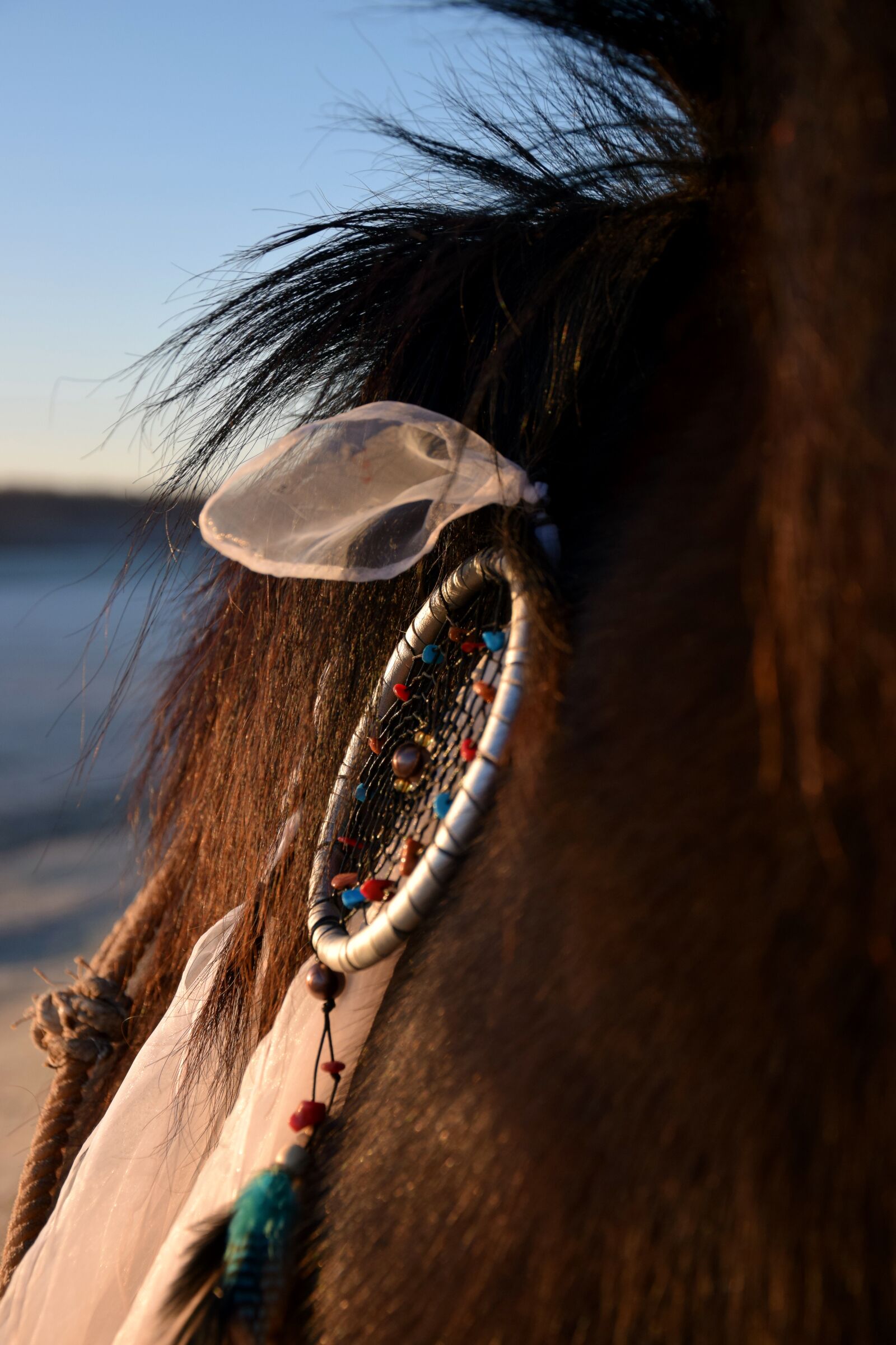 Nikon D3300 sample photo. Horse accessories, dream catcher photography