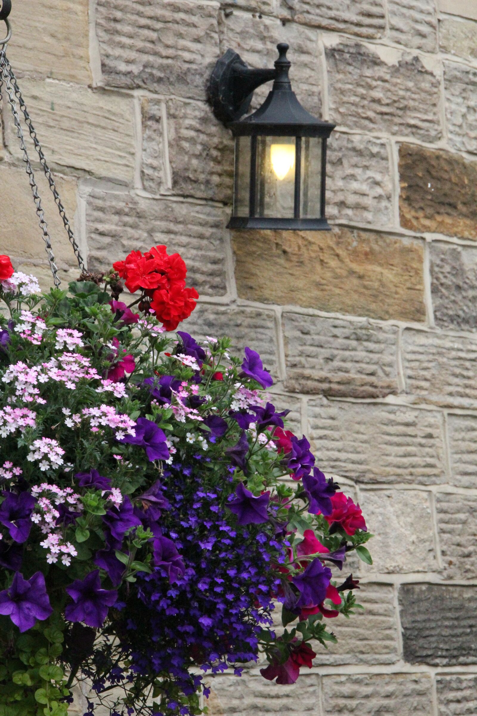 Canon EF-S 18-135mm F3.5-5.6 IS sample photo. Plant, stone wall, pattern photography