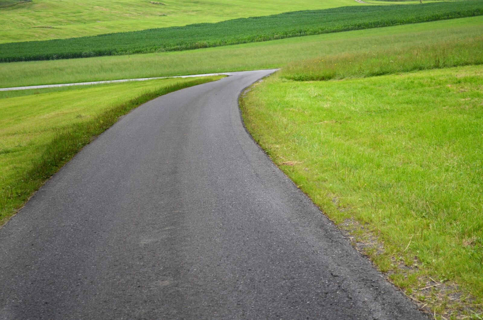Nikon D5100 sample photo. Road, green, meadow photography