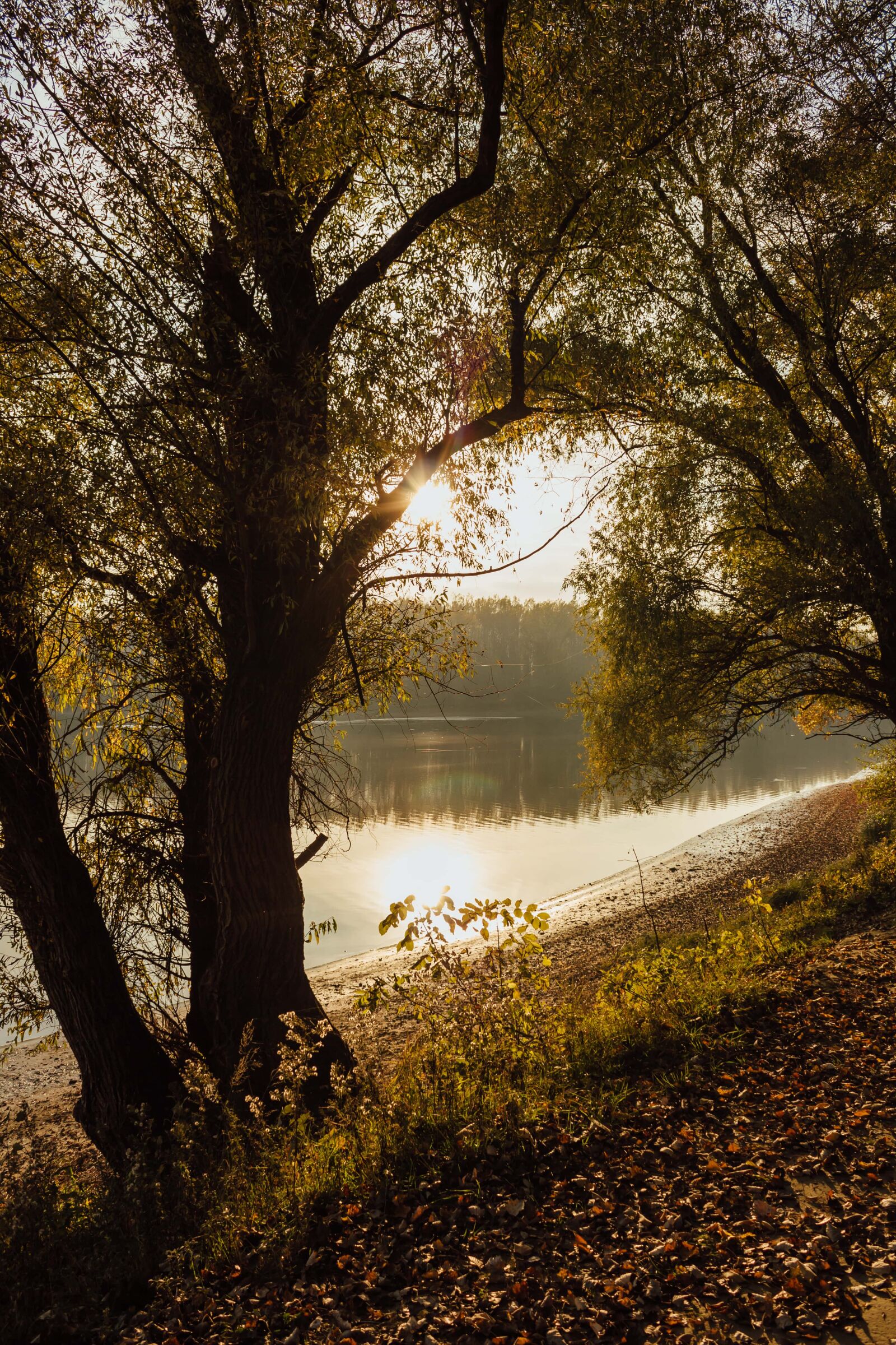 Canon EF-S 18-55mm F3.5-5.6 IS sample photo. Sunshine, autumn season, riverbank photography