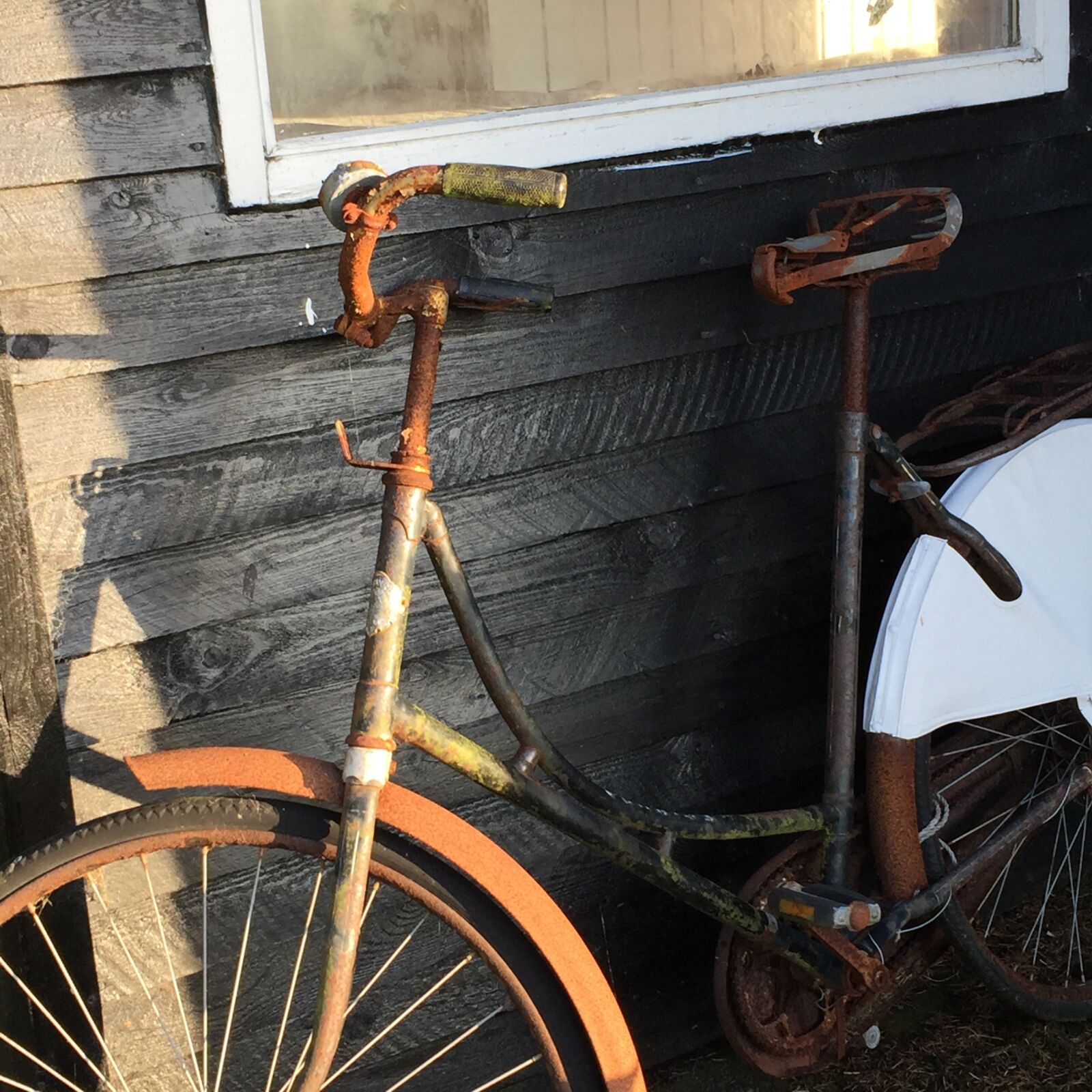 Apple iPhone 6 sample photo. Old, rusty, bike photography