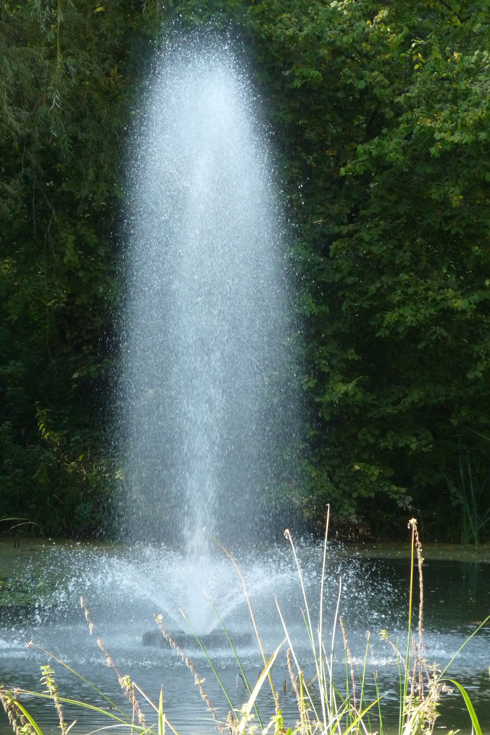 Panasonic Lumix DMC-FZ28 sample photo. Fountain, park, water photography