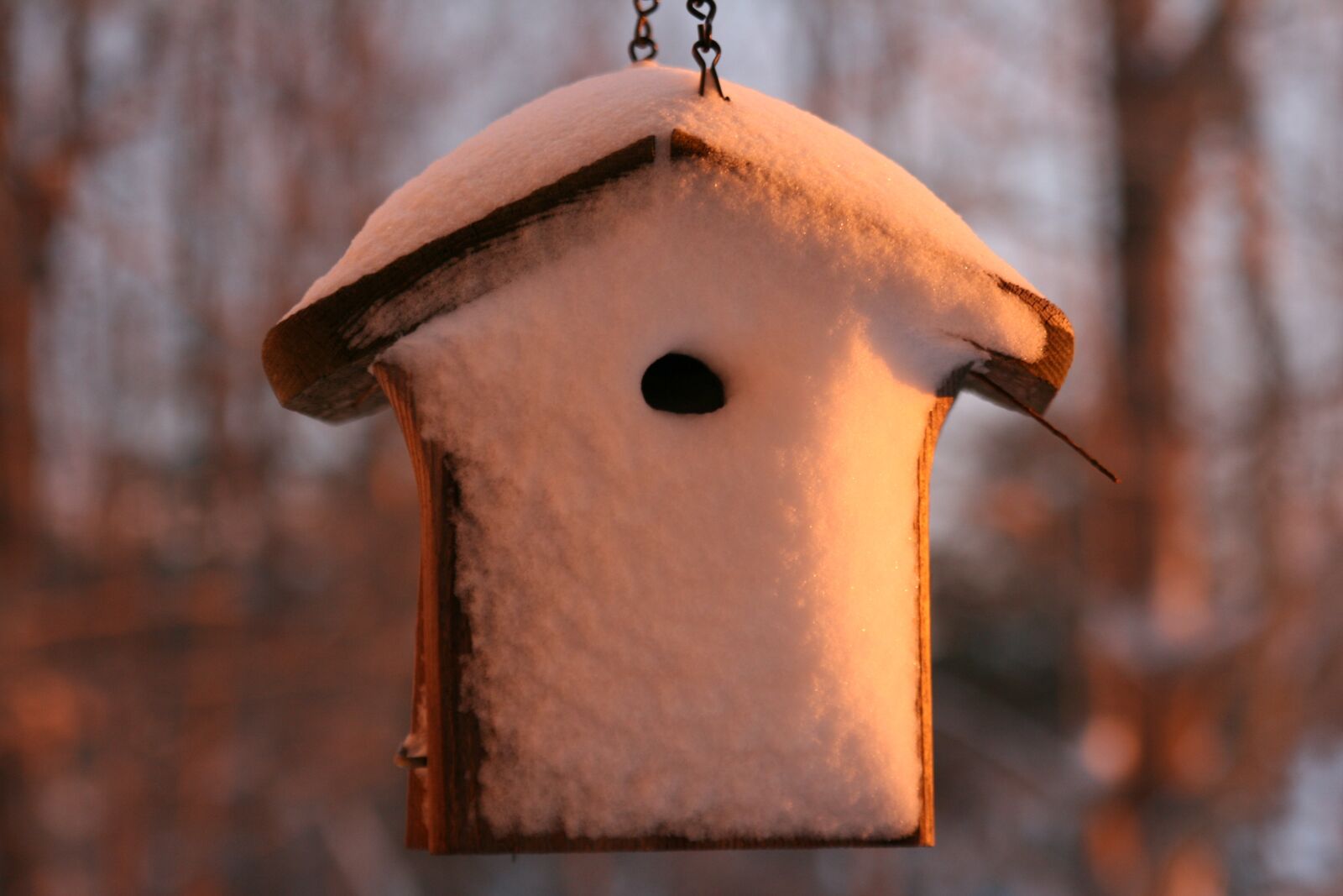 Canon EOS 400D (EOS Digital Rebel XTi / EOS Kiss Digital X) sample photo. Birdhouse, snow, winter wonderland photography
