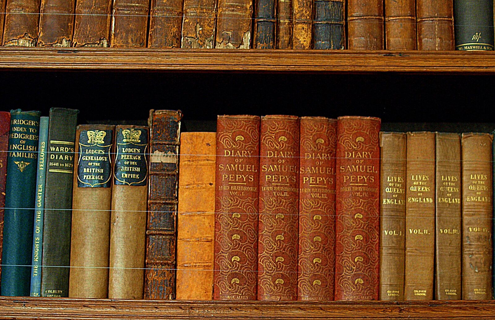 Olympus E-520 (EVOLT E-520) sample photo. Books, library, shelf photography